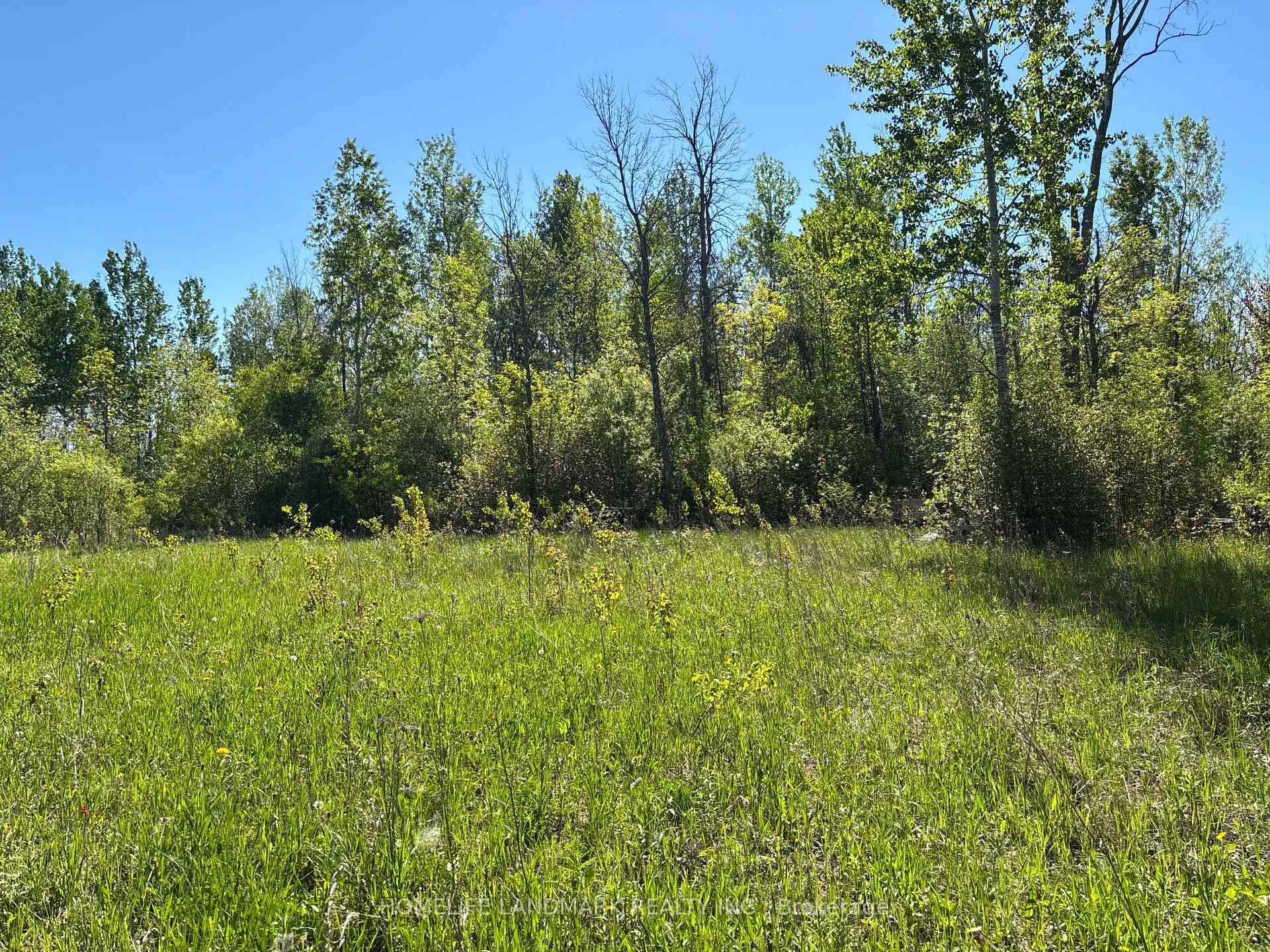 Photo 5 of 3485 Smith Road, South Stormont, South Stormont (Osnabruck) Twp — HOMEH