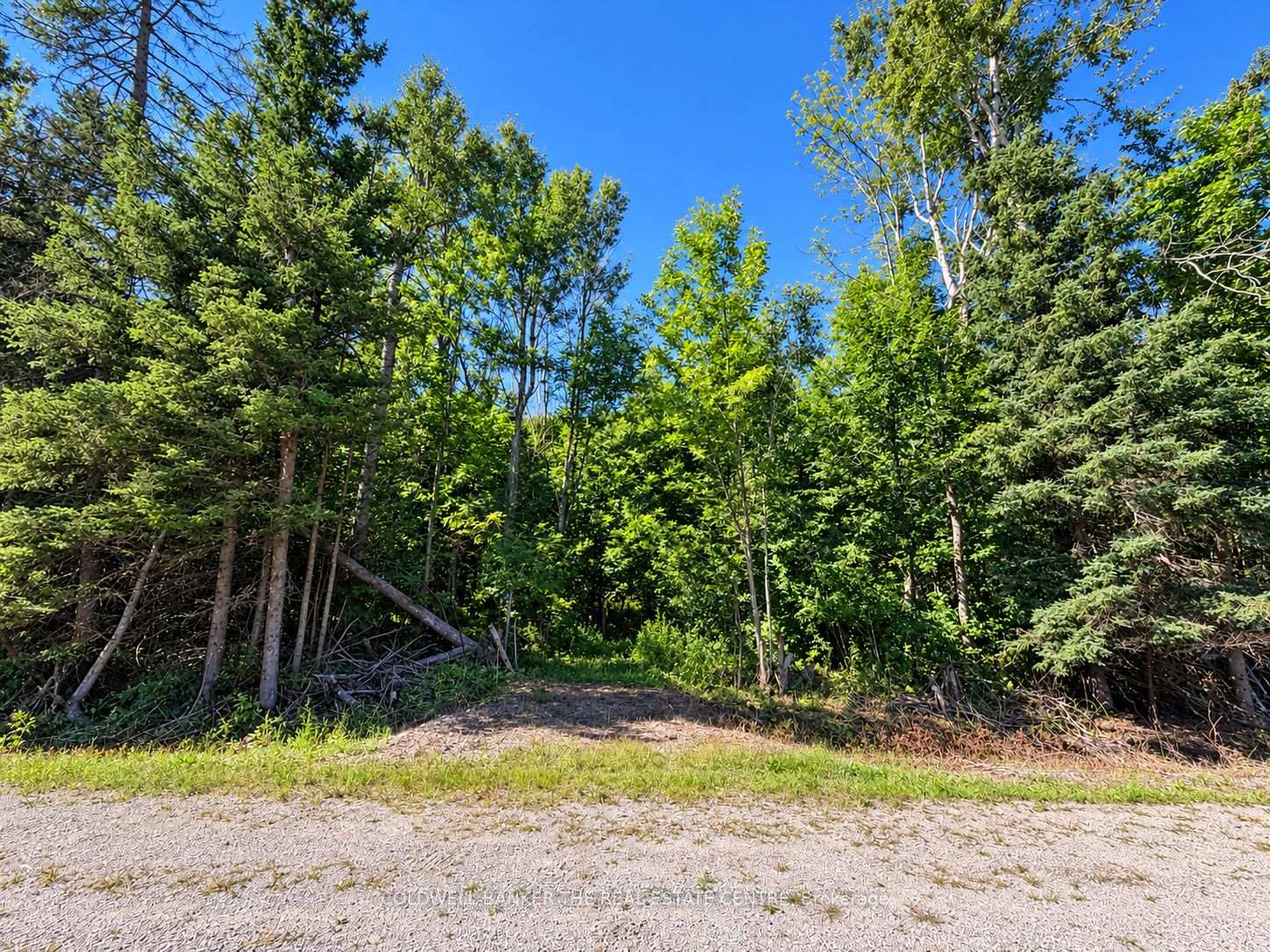 Photo of 4896 Penetanguishene Road