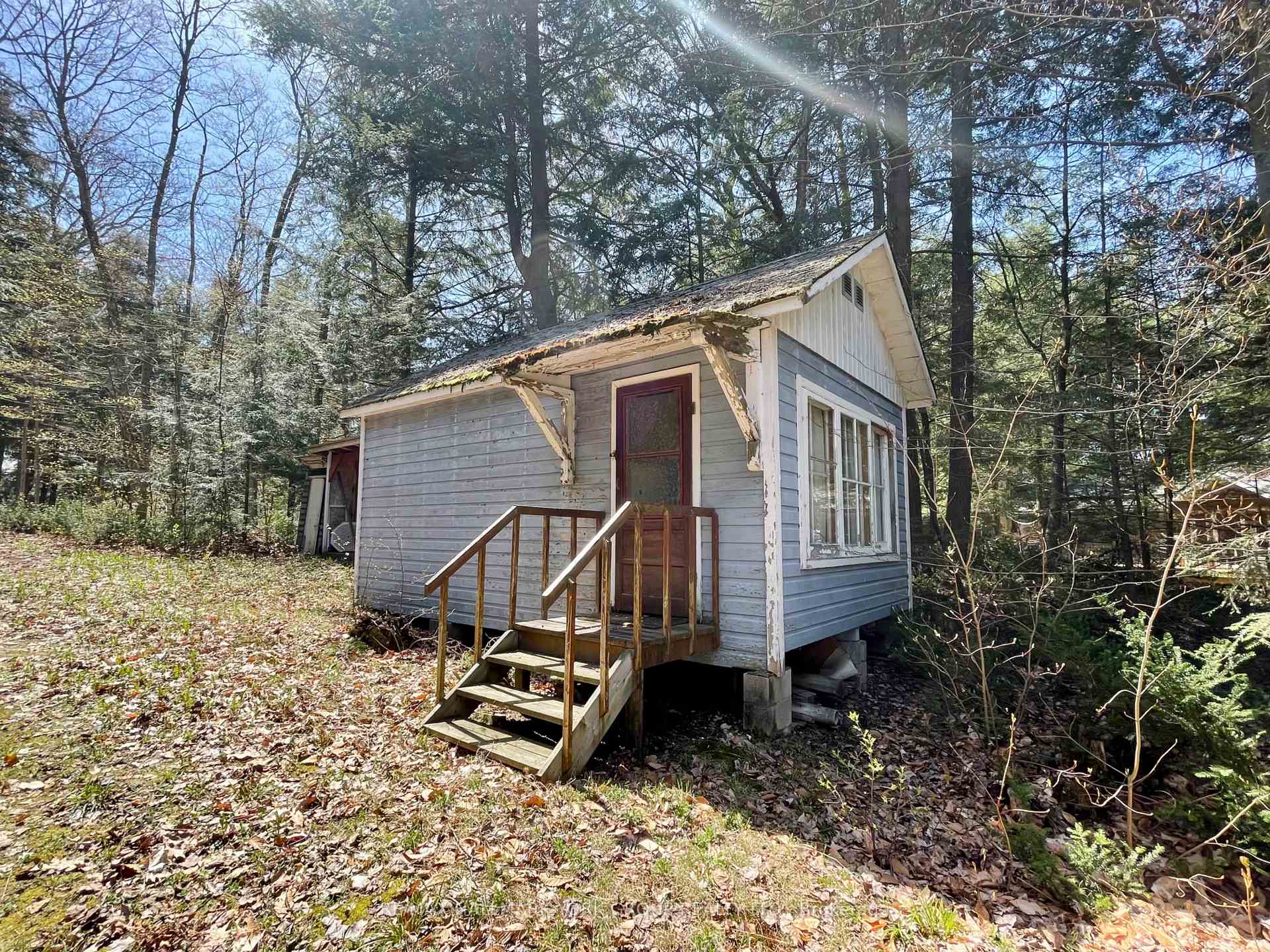 Photo 14 of 41 Maureen Drive, Seguin — HOMEH