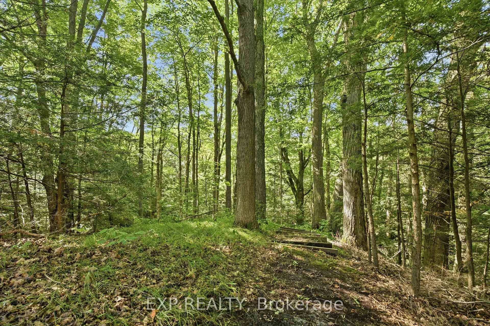 Photo 37 of 1785 Davis Drive W, King, Rural King — HOMEH