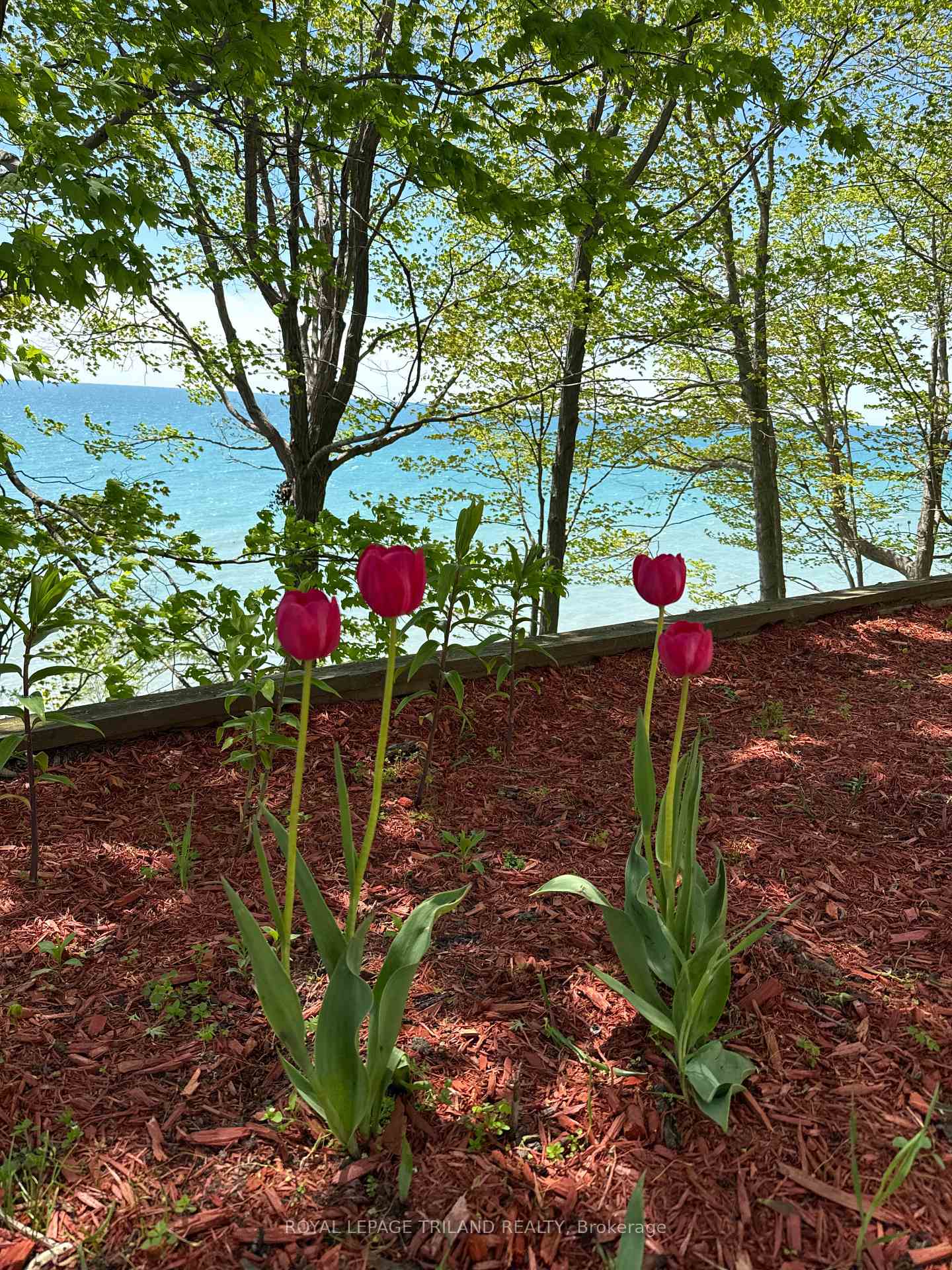 Photo 34 of 7570 Talbot Trail, Chatham-Kent, Blenheim — HOMEH
