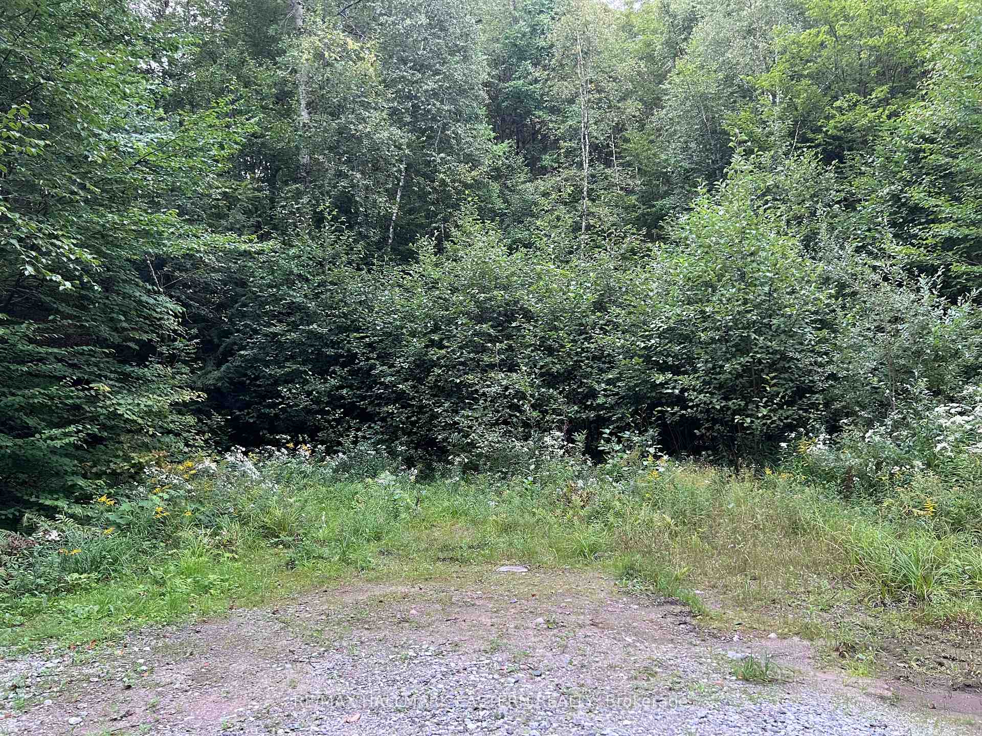 Photo 10 of Albion Lake Drive, Faraday — HOMEH
