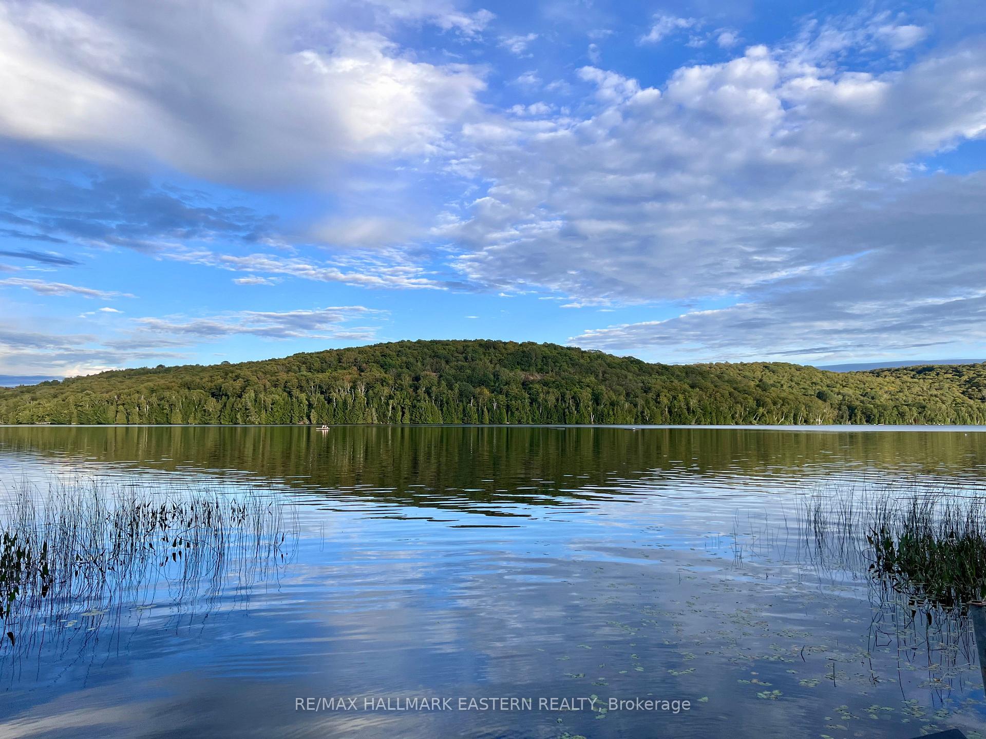 Photo 13 of Albion Lake Drive, Faraday — HOMEH