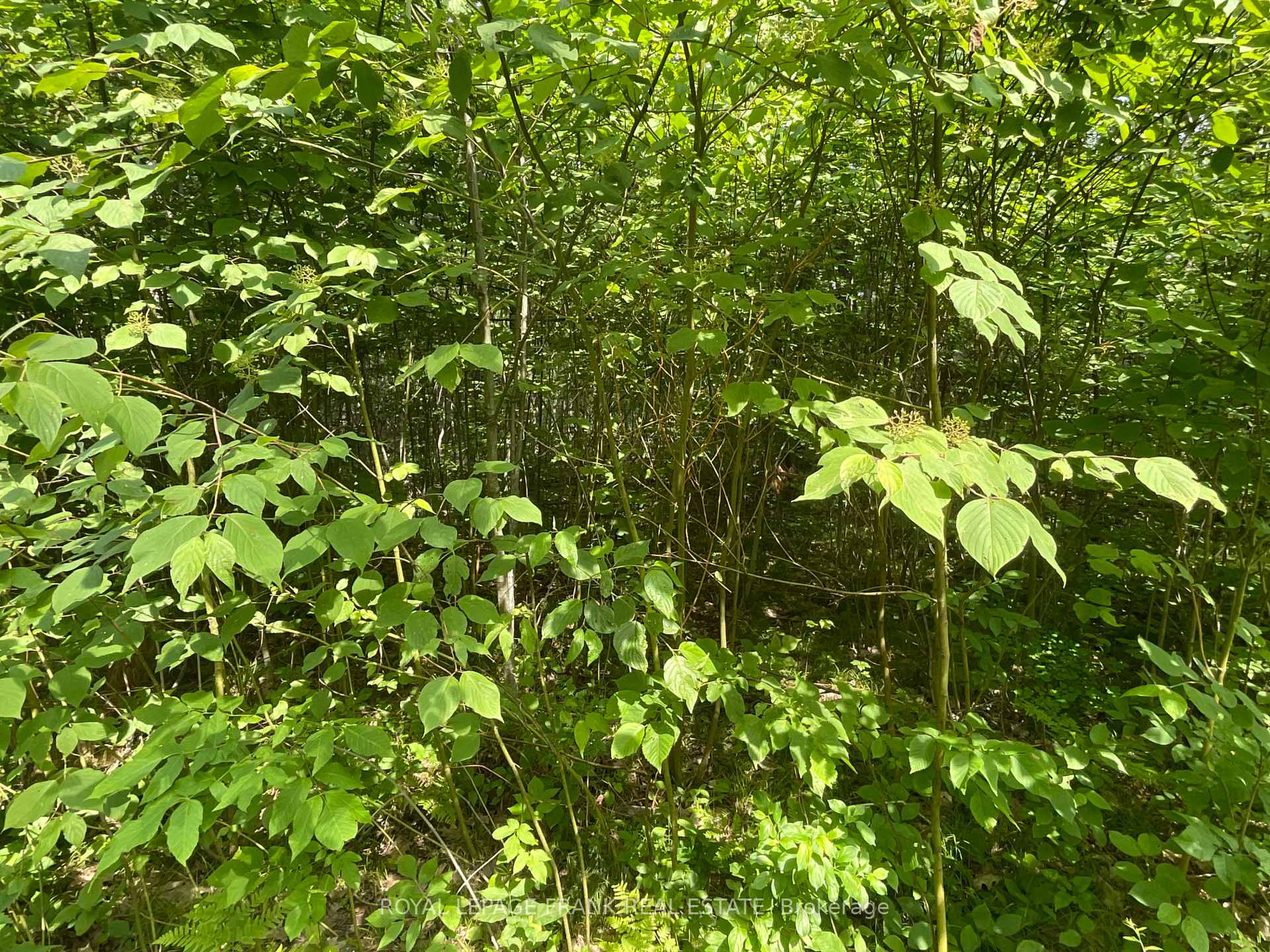 Photo of 0 Sugarbush Crescent