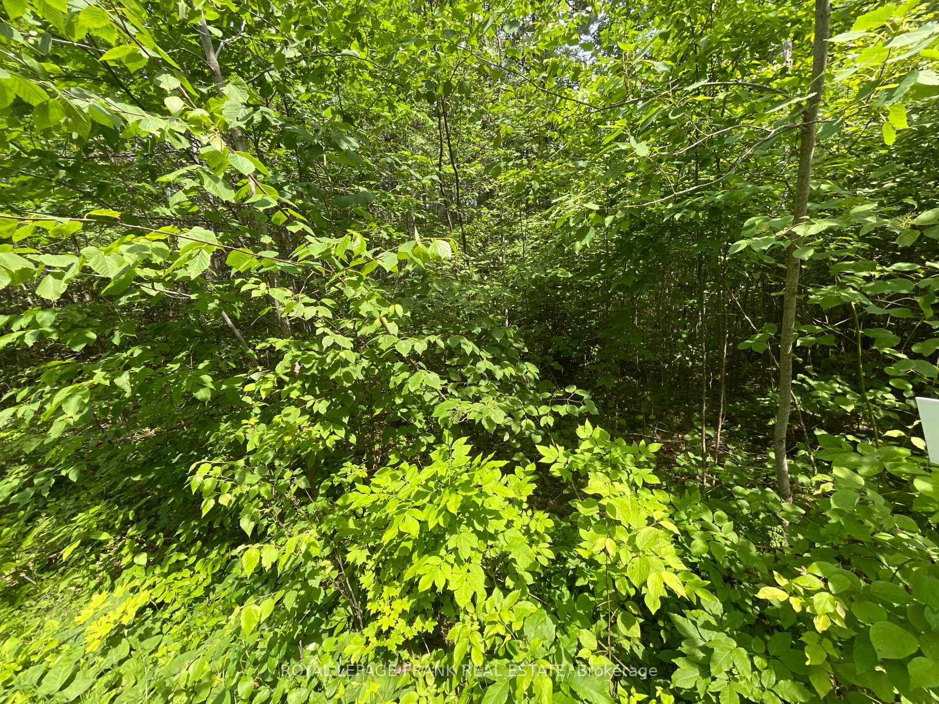 Photo 2 of Sugarbush Crescent, Trent Lakes — HOMEH