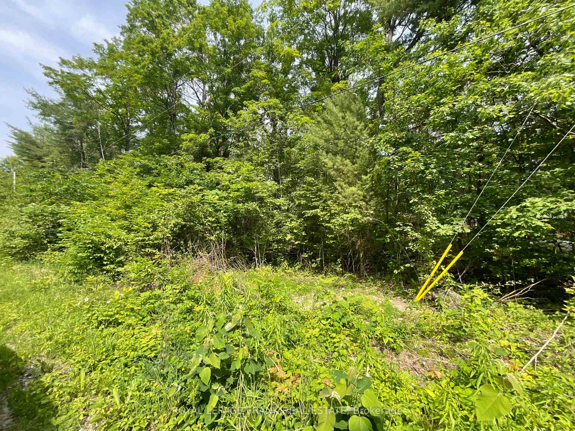Photo 4 of Sugarbush Crescent, Trent Lakes — HOMEH