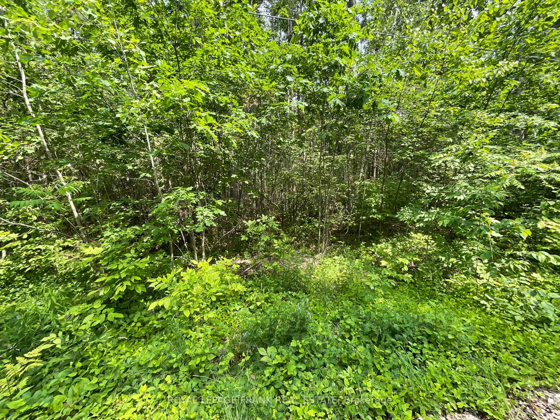 Photo 6 of Sugarbush Crescent, Trent Lakes — HOMEH