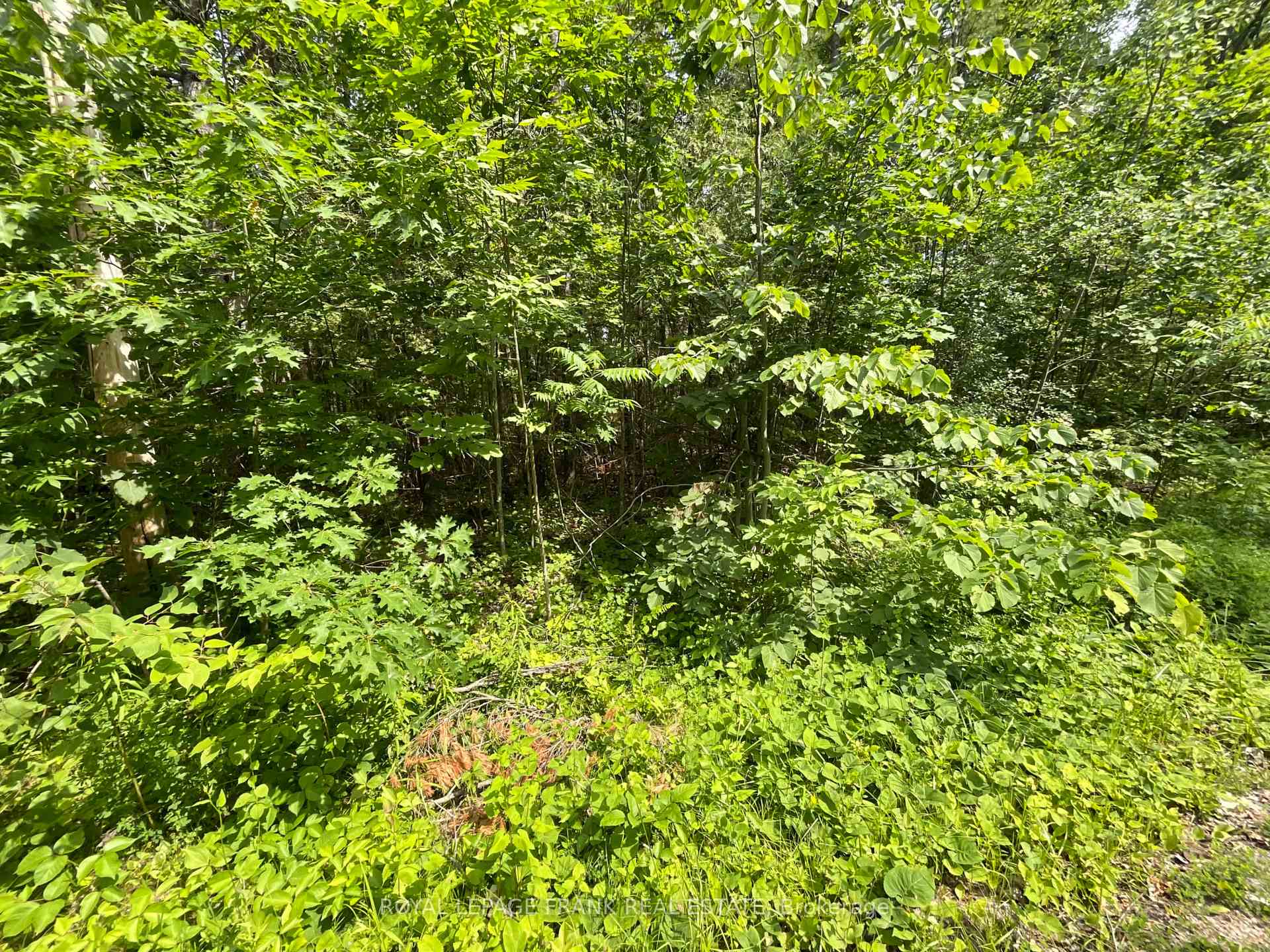 Photo 7 of Sugarbush Crescent, Trent Lakes — HOMEH