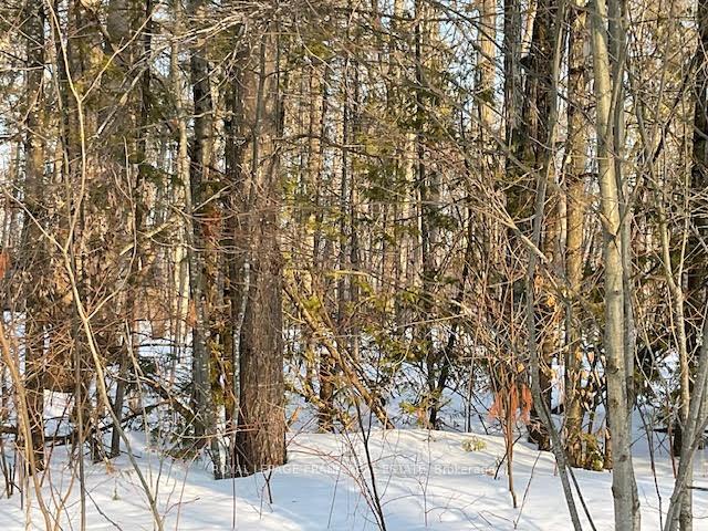 Photo 8 of Sugarbush Crescent, Trent Lakes — HOMEH
