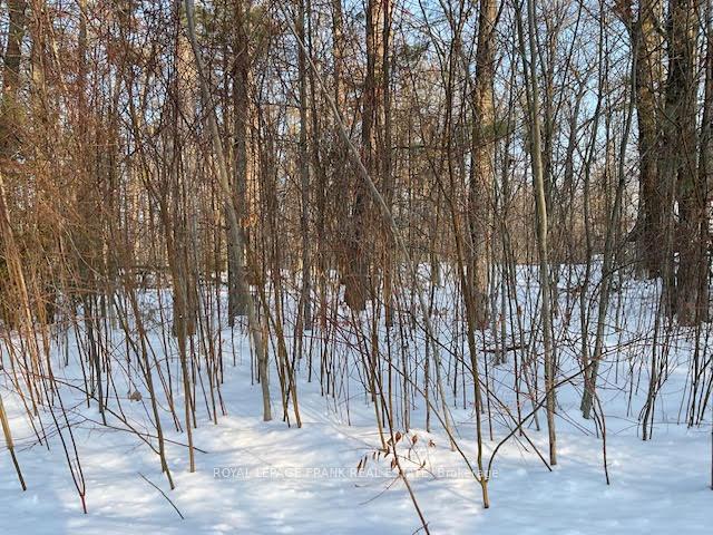 Photo 9 of Sugarbush Crescent, Trent Lakes — HOMEH