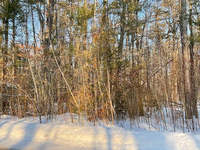 Photo 10 of Sugarbush Crescent, Trent Lakes — HOMEH