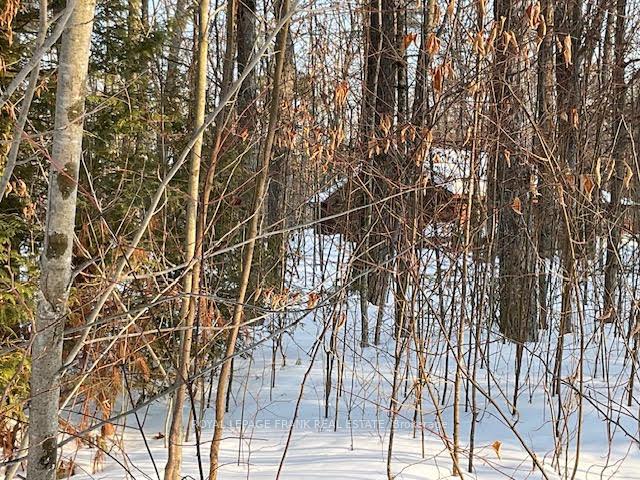 Photo 11 of Sugarbush Crescent, Trent Lakes — HOMEH