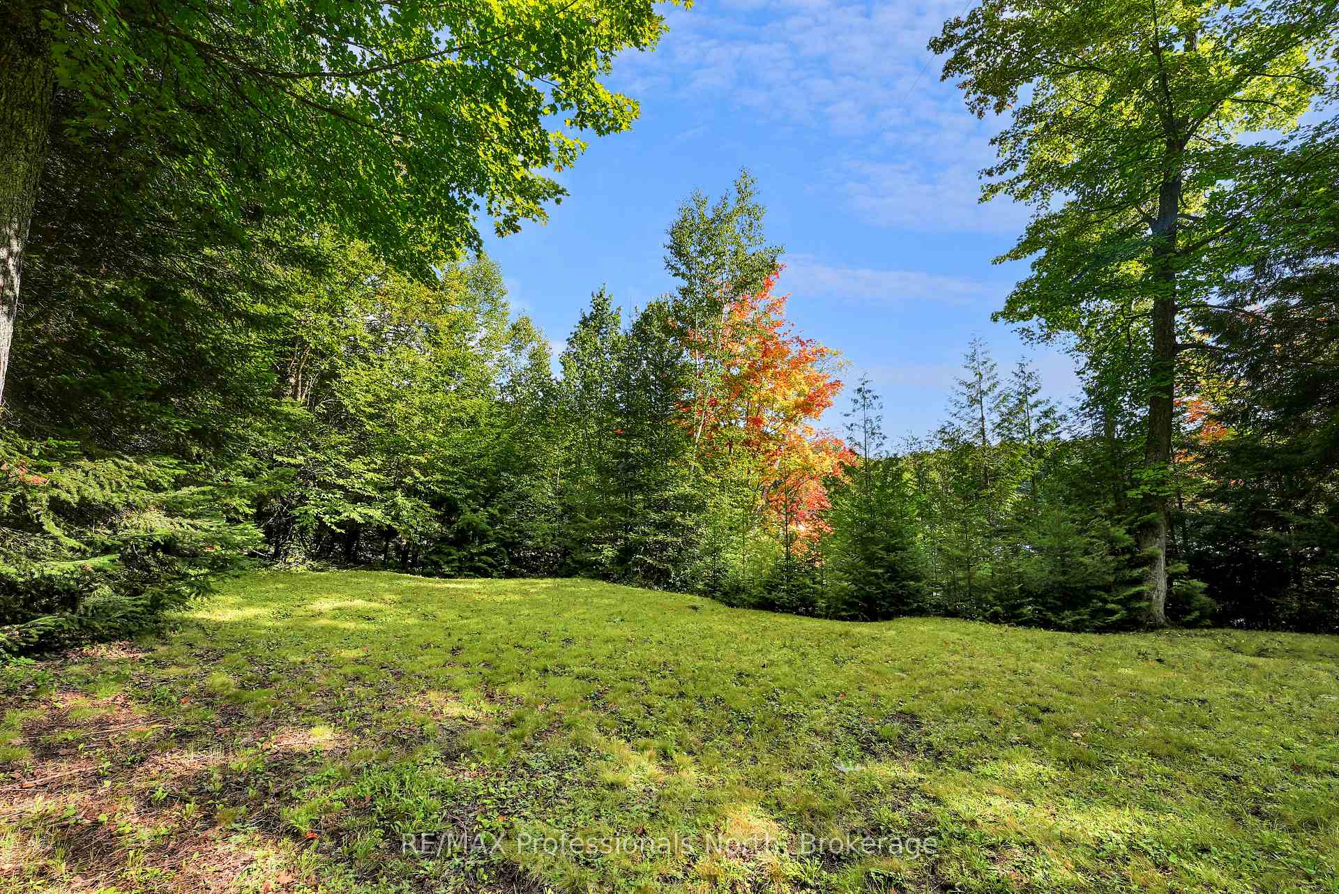 Photo 45 of 1010 Koch Trail, Highlands East, Glamorgan — HOMEH