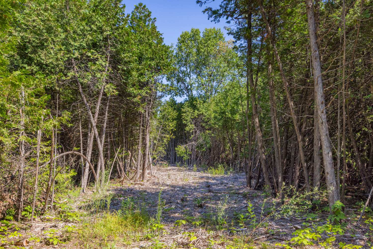 Photo 2 of Forbes Road, North Grenville, North Grenville Twp (Kemptville South) — HOMEH