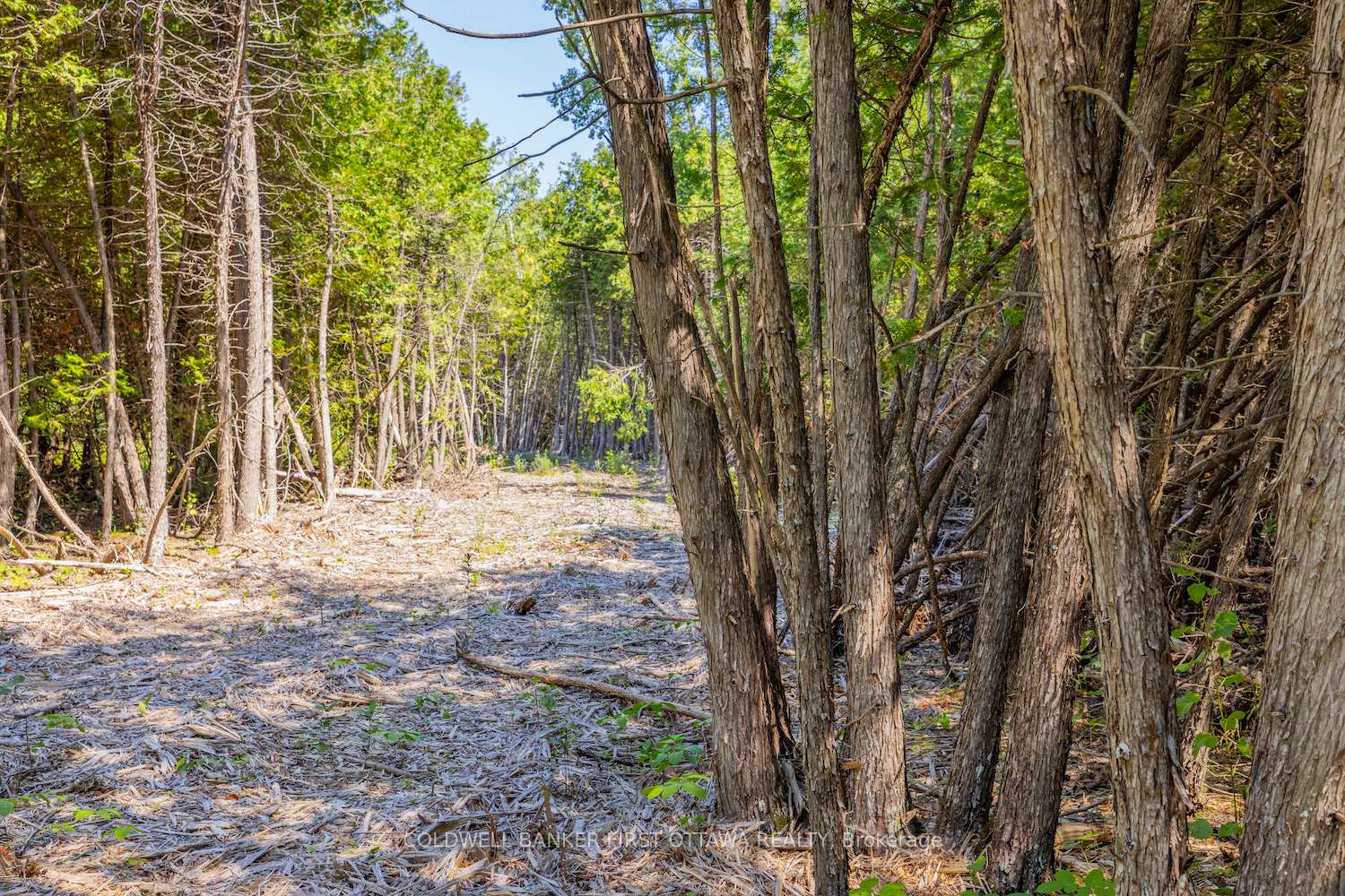 Photo 4 of Forbes Road, North Grenville, North Grenville Twp (Kemptville South) — HOMEH