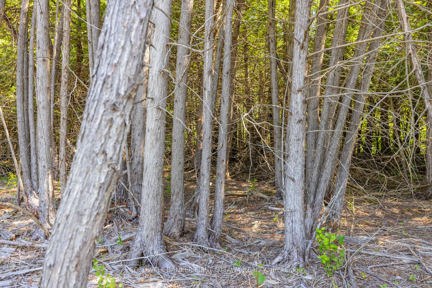 Photo 8 of Forbes Road, North Grenville, North Grenville Twp (Kemptville South) — HOMEH