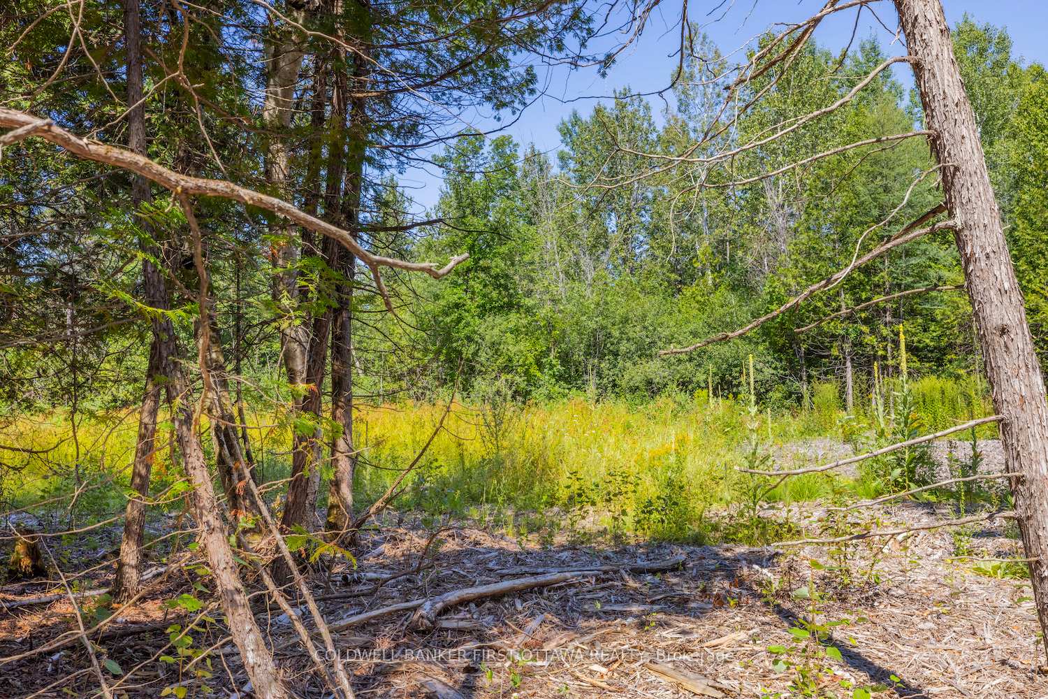 Photo 12 of Forbes Road, North Grenville, North Grenville Twp (Kemptville South) — HOMEH