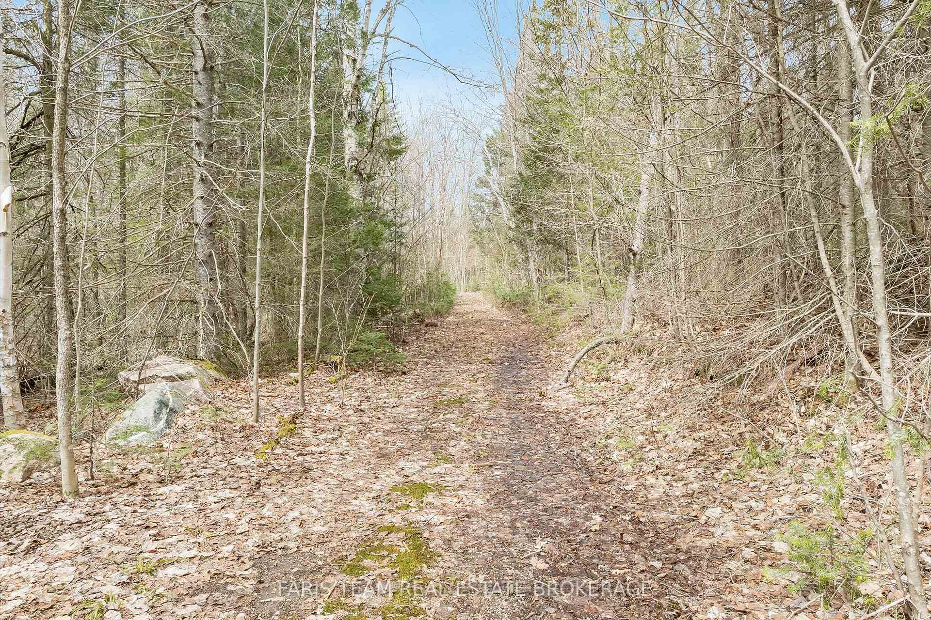 Photo 31 of 376 Riding Ranch Road, South River — HOMEH