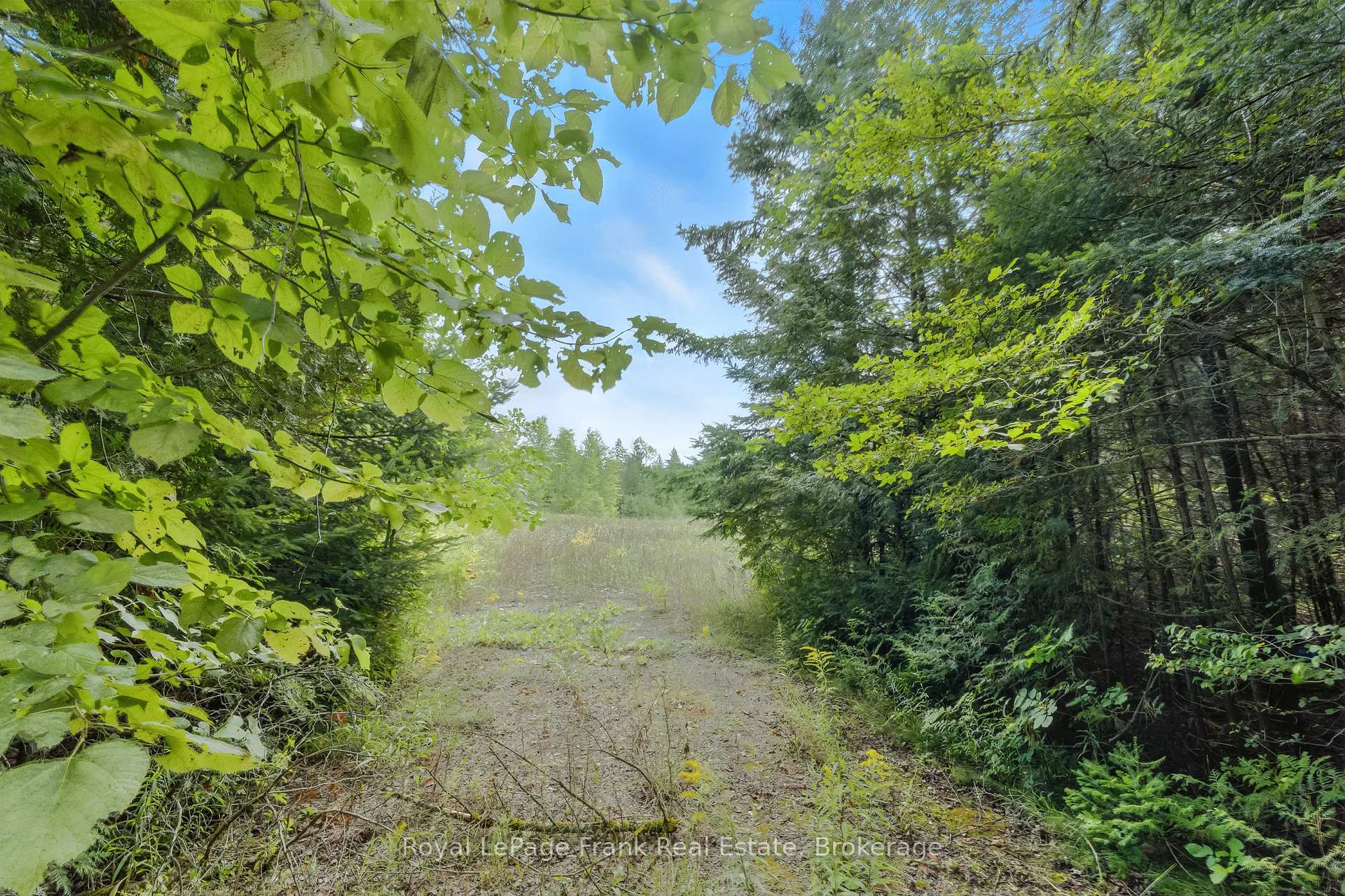 Photo 30 of 274 Highway 35, Kawartha Lakes, Manvers — HOMEH