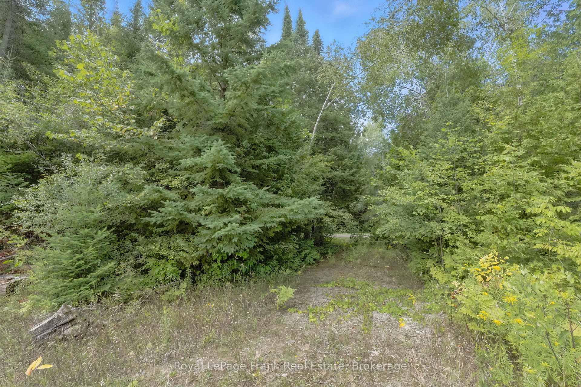 Photo 31 of 274 Highway 35, Kawartha Lakes, Manvers — HOMEH