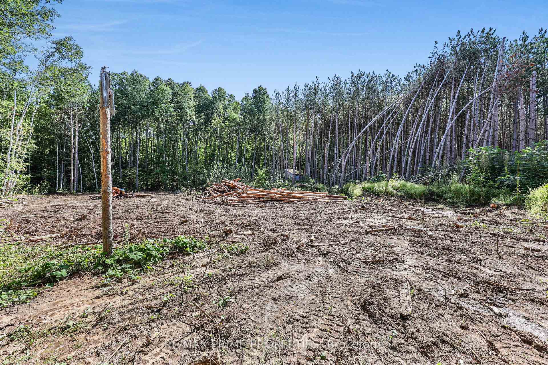 Photo 37 of 25625 Valley View Drive, Georgina, Sutton & Jackson's Point — HOMEH