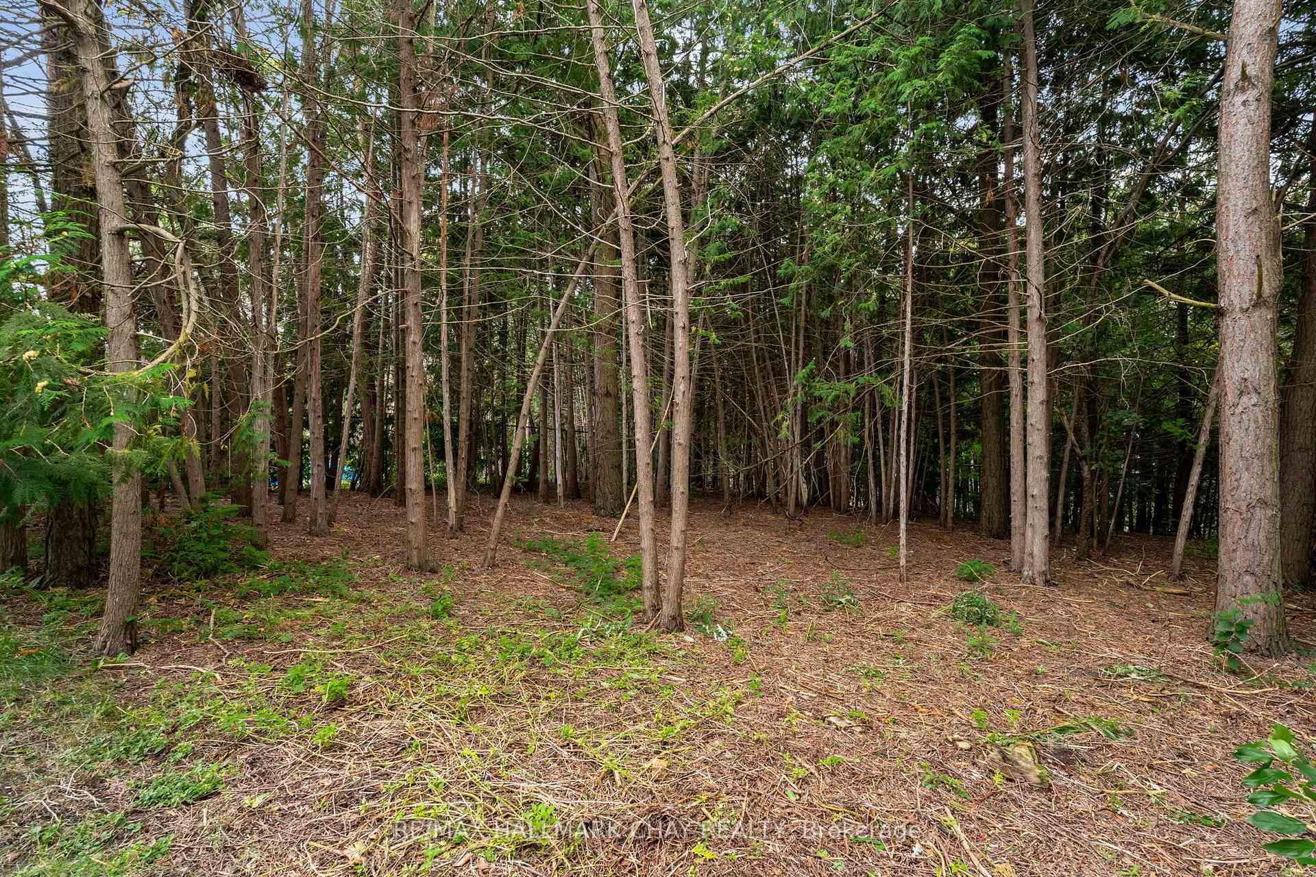 Photo 51 of 46 Birkhall Place, Barrie, Innis-Shore — HOMEH