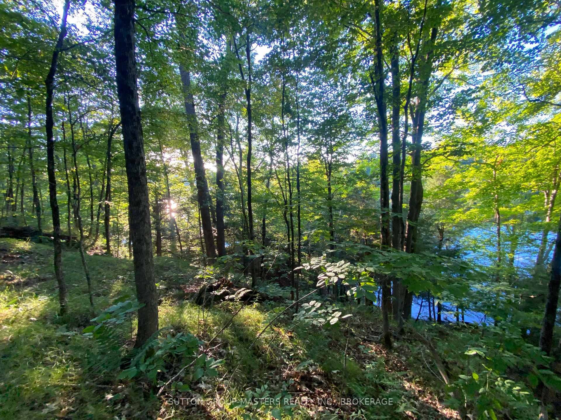 Photo 5 of 1001 White Lake Road, Frontenac, Frontenac South — HOMEH