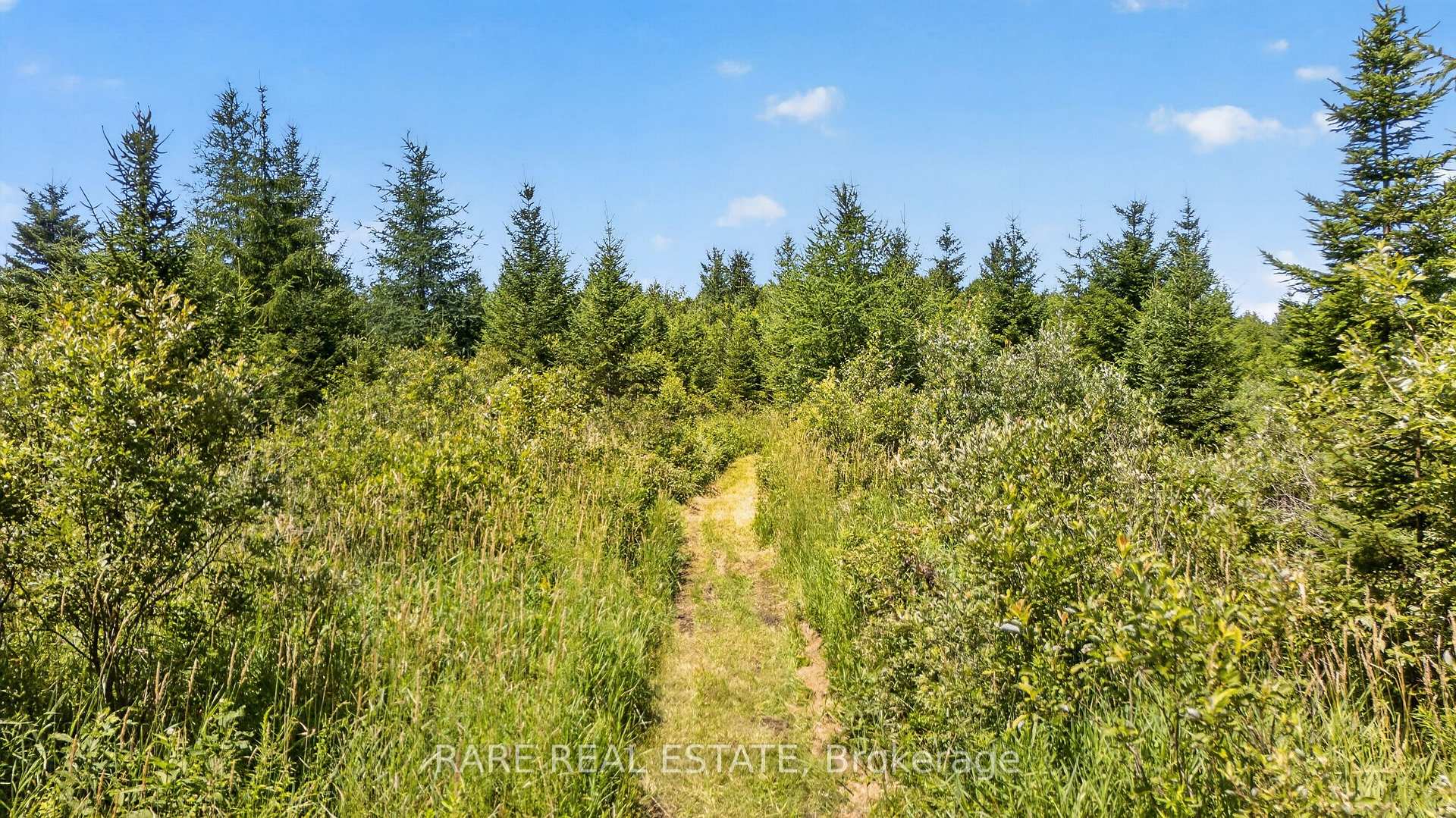 Photo 42 of 313026 Sideroad 35 Side Road, Grey Highlands — HOMEH