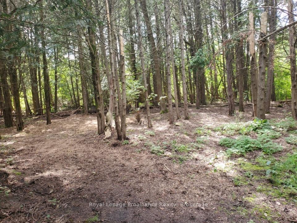 Photo 40 of 3526 Harmony Road, Tyendinaga, Tyendinaga Township — HOMEH
