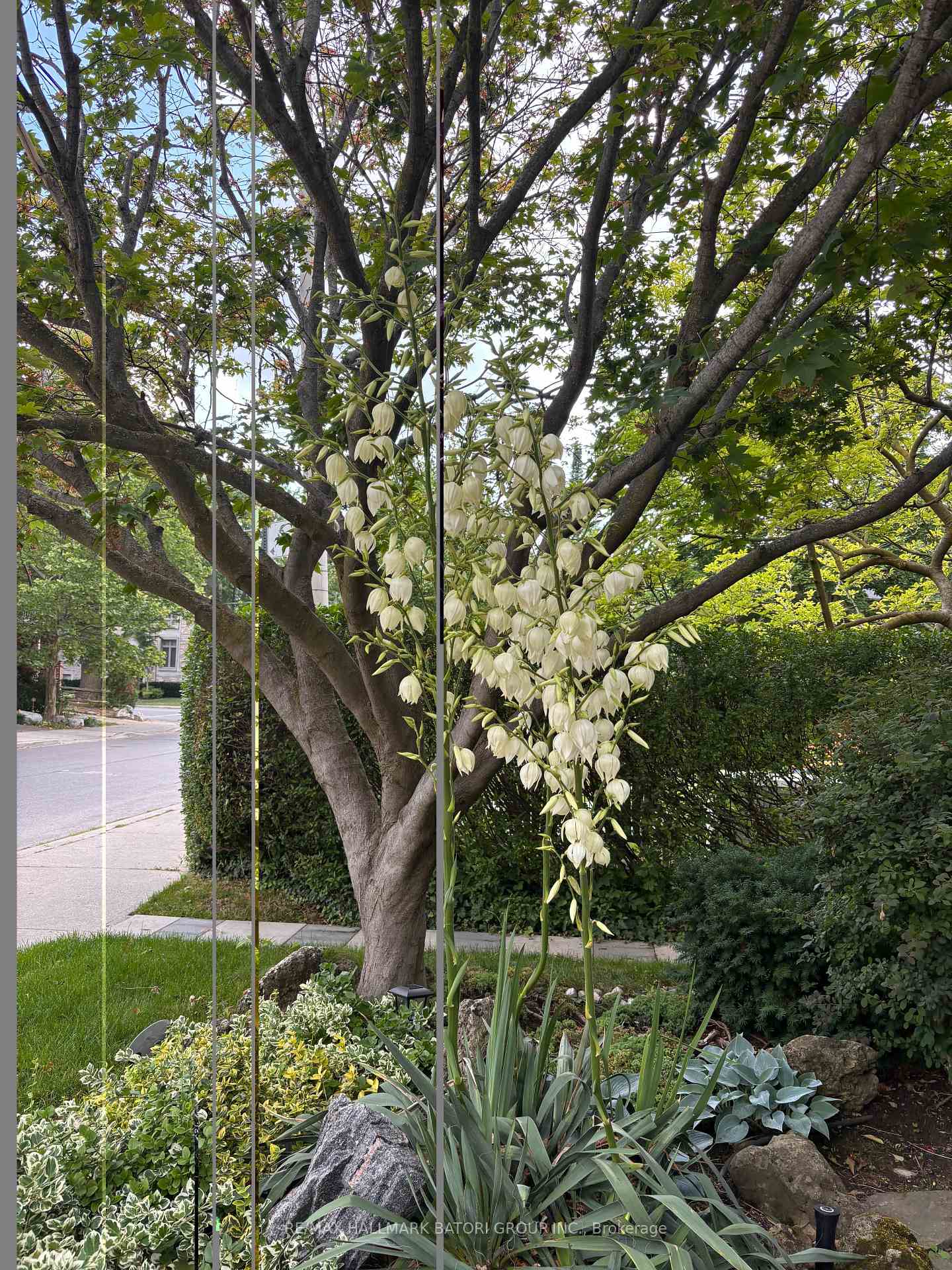 Photo 34 of 166 Old Orchard Grove, Toronto, Lawrence Park North — HOMEH