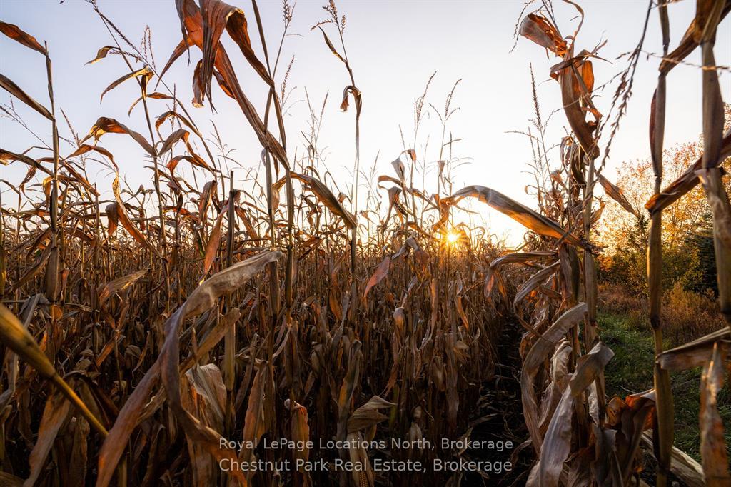 Photo 36 of 324310 27 Side Road, Meaford — HOMEH