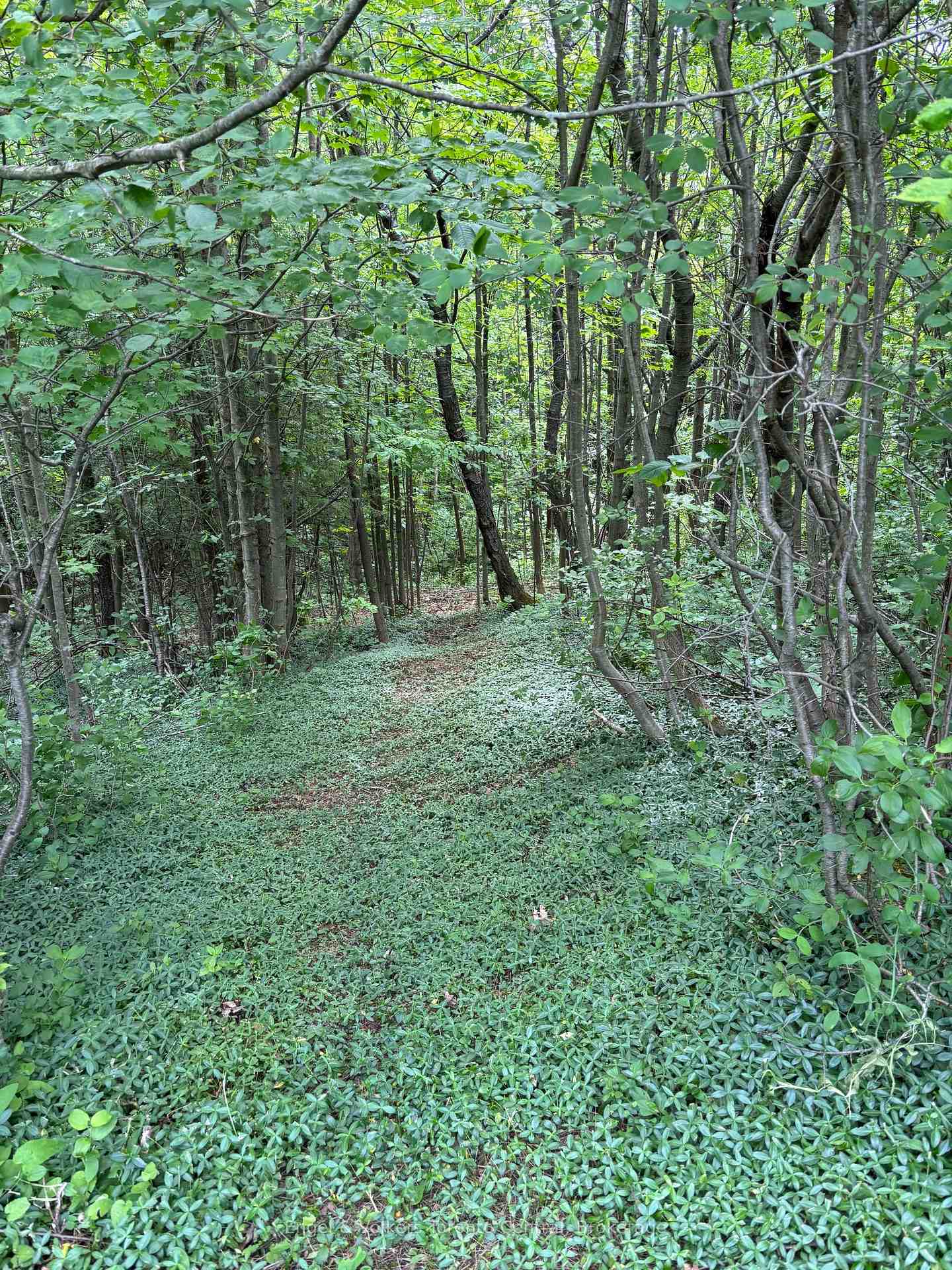 Photo 34 of 317343 3rd Line, Meaford — HOMEH