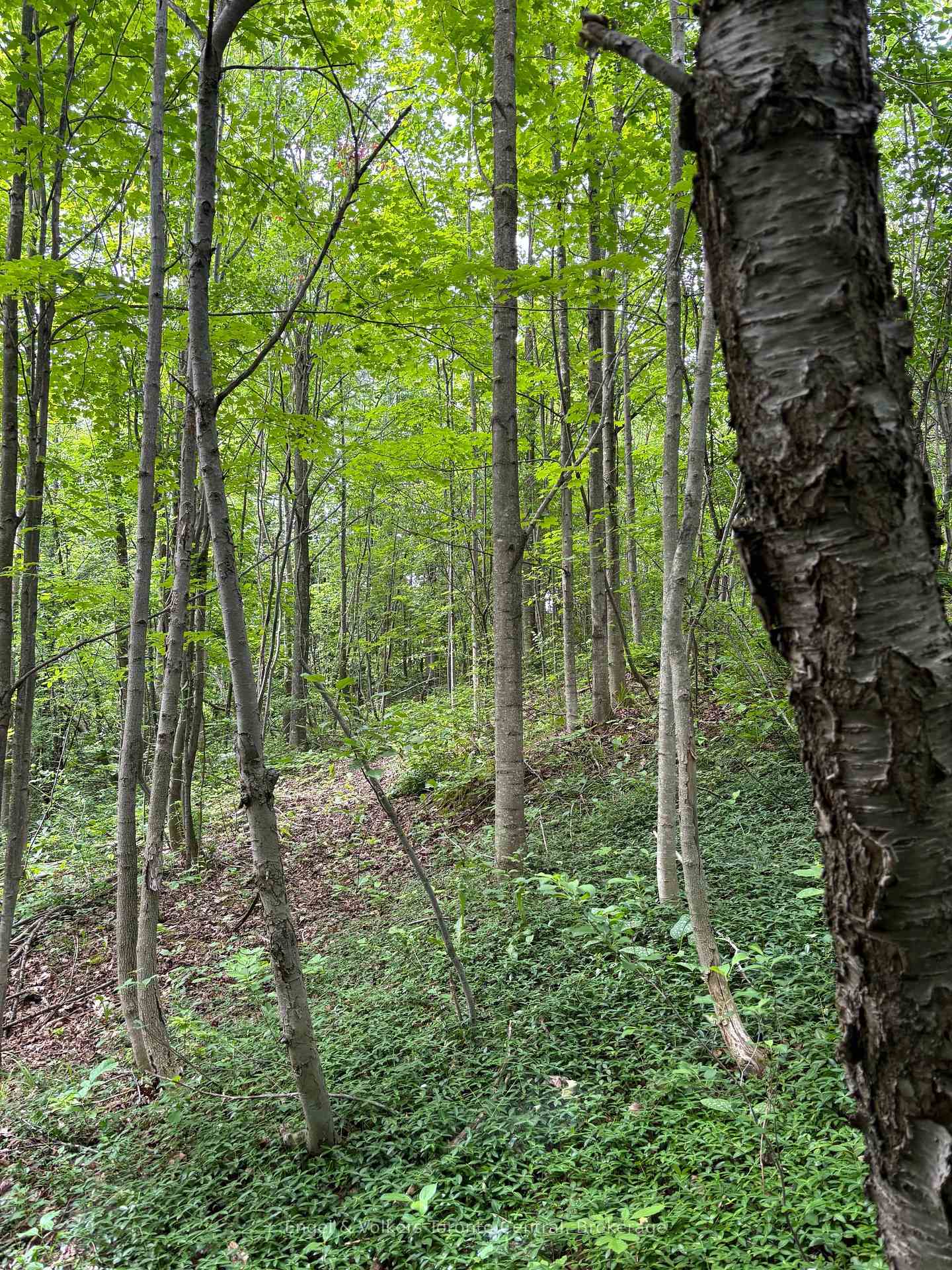 Photo 36 of 317343 3rd Line, Meaford — HOMEH