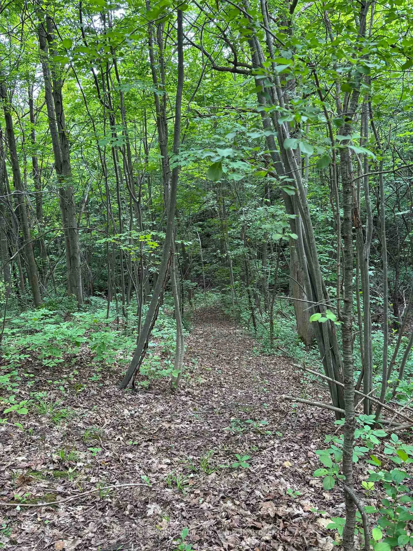 Photo 49 of 317343 3rd Line, Meaford — HOMEH