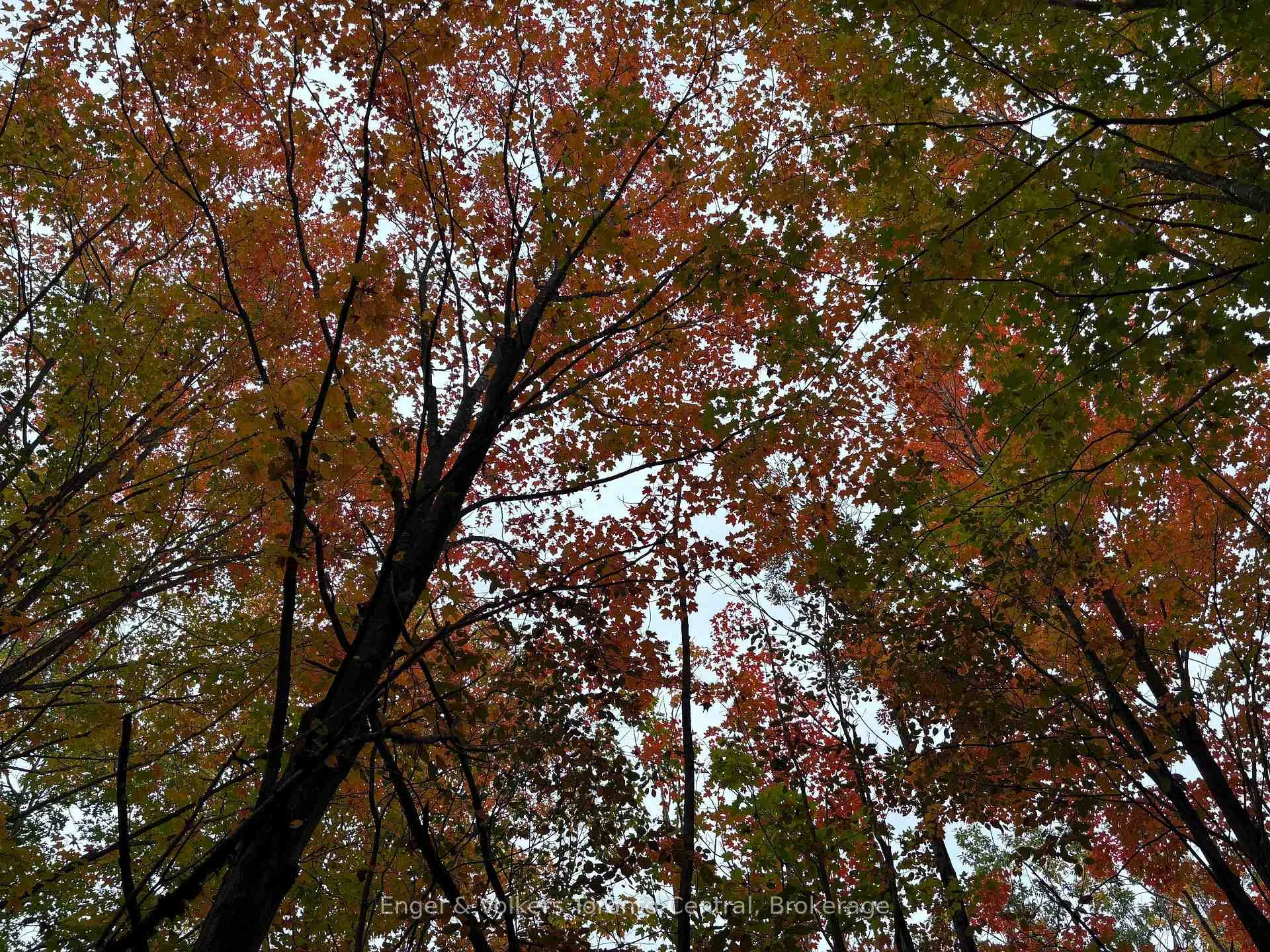 Photo 55 of 317343 3rd Line, Meaford — HOMEH