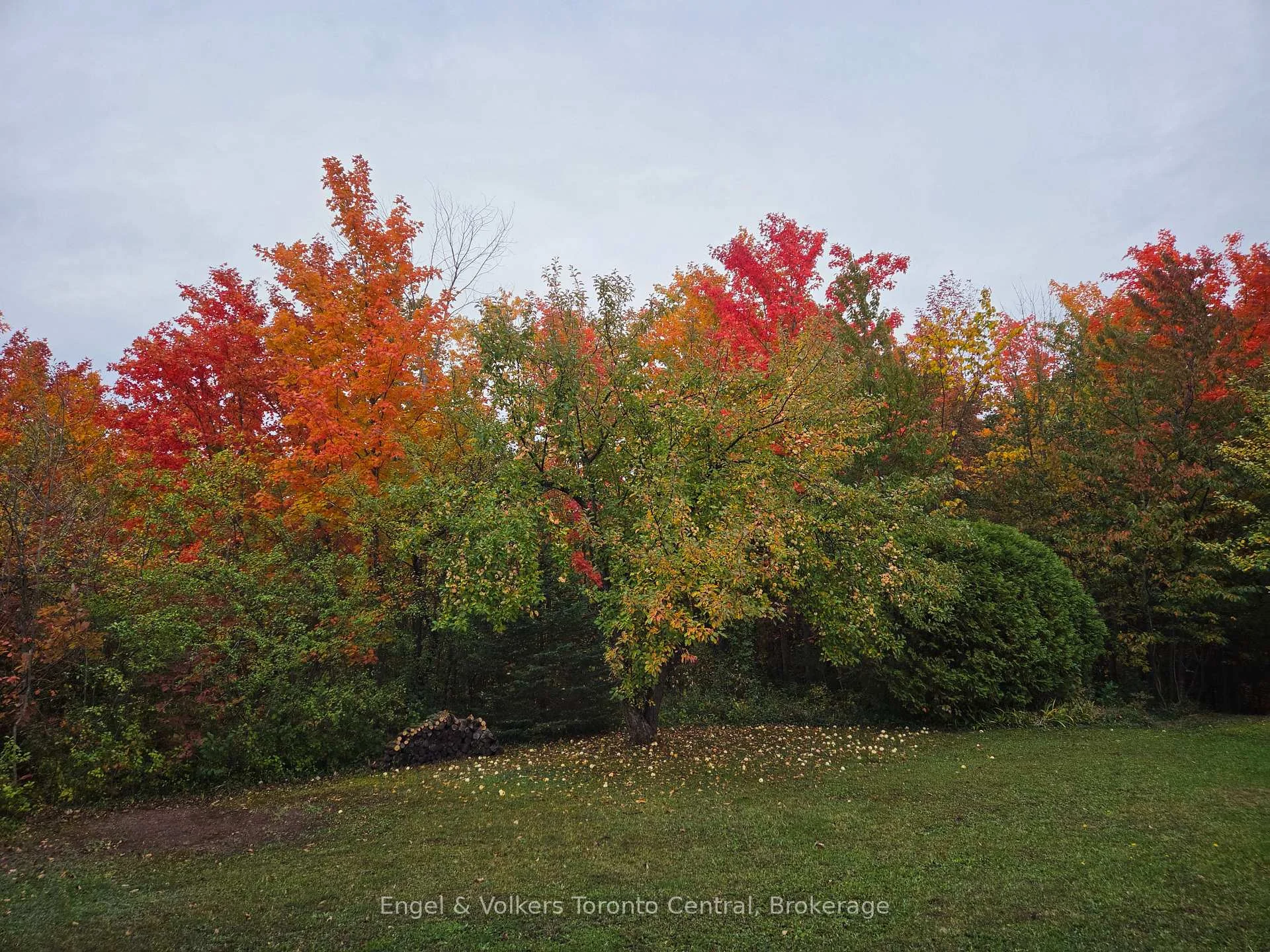 Photo 58 of 317343 3rd Line, Meaford — HOMEH