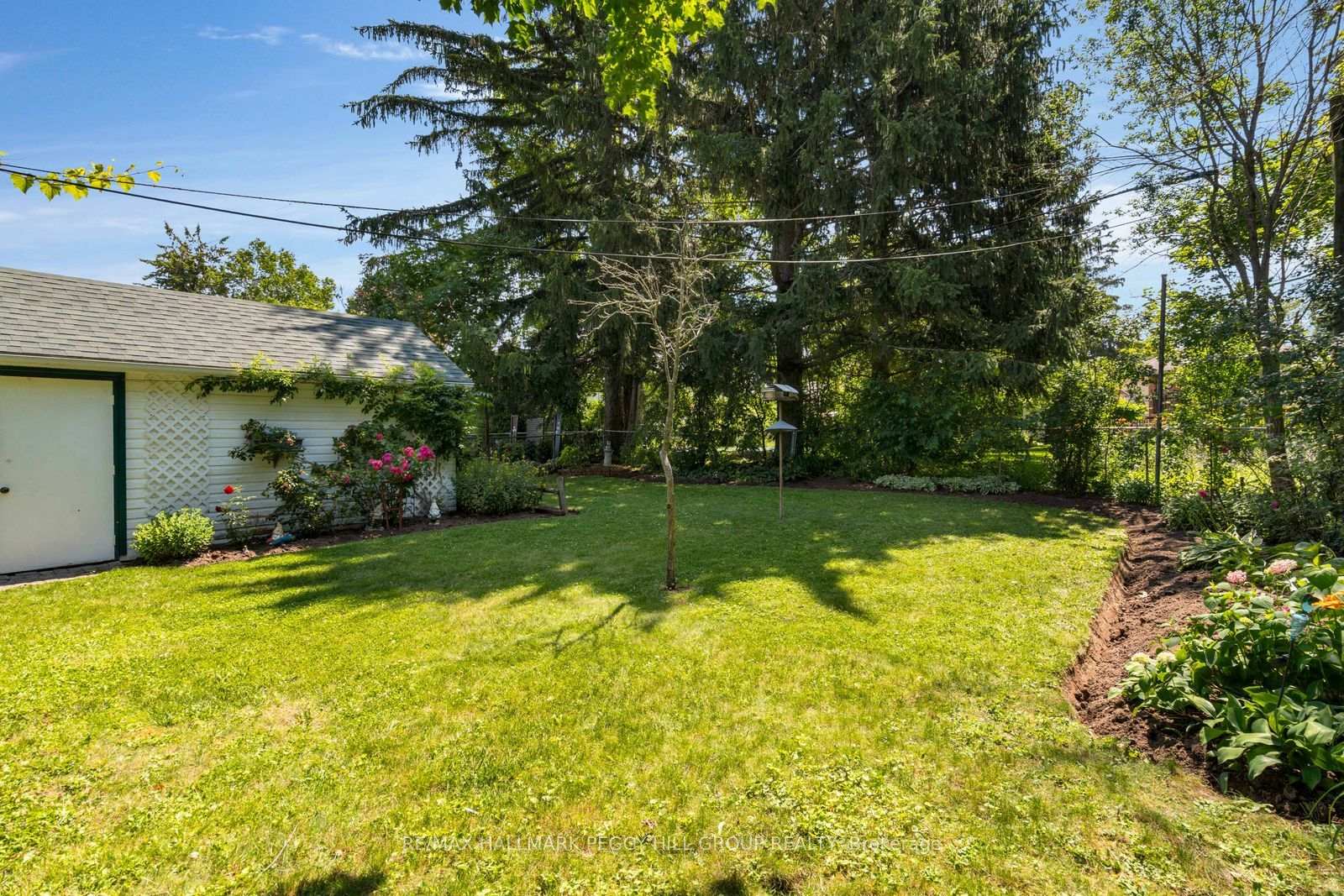 Photo 13 of 171 Codrington Street, Barrie, Codrington — HOMEH