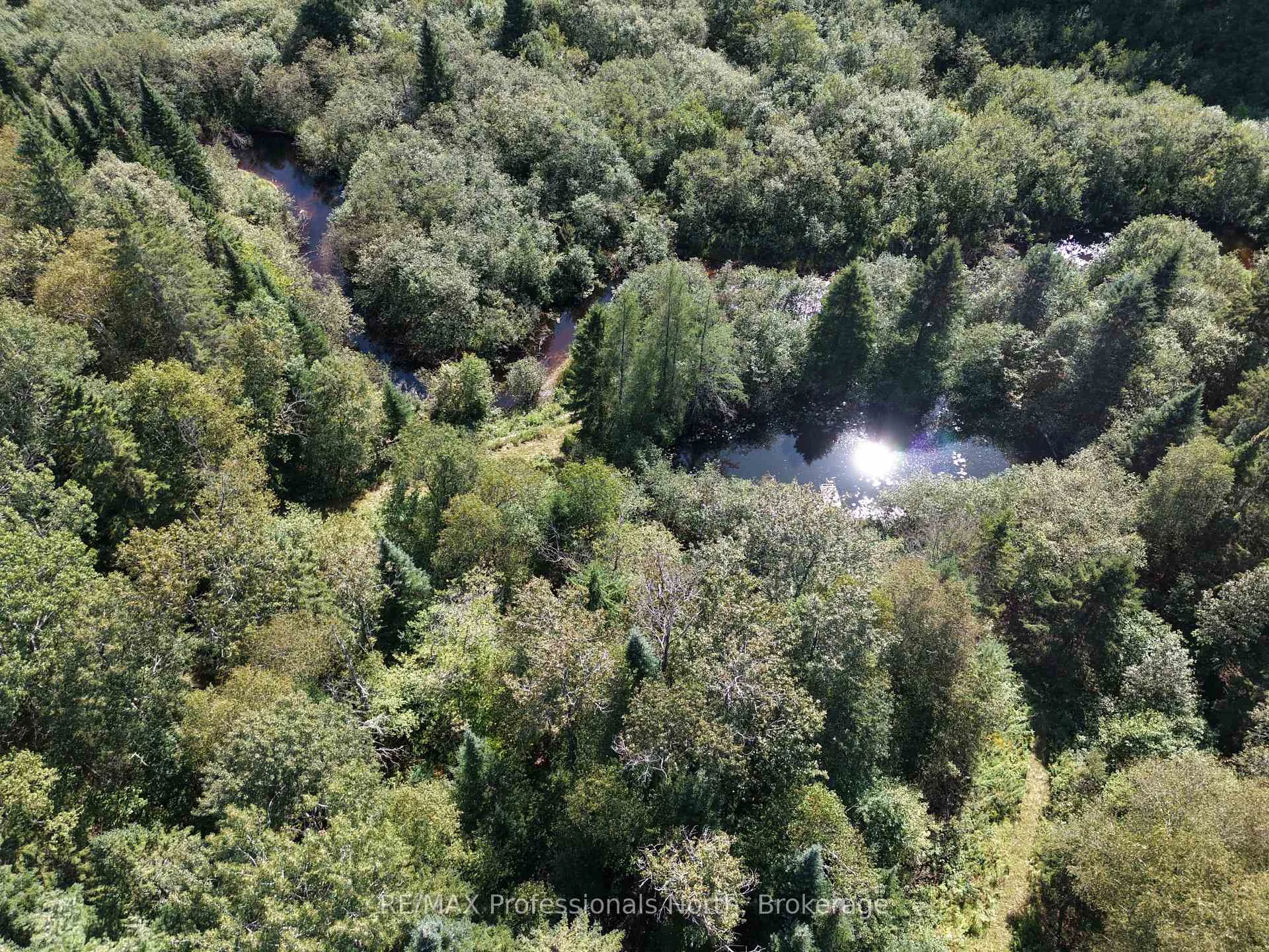 Photo 39 of 83 Ceramic Mine Road North, Huntsville, Chaffey — HOMEH