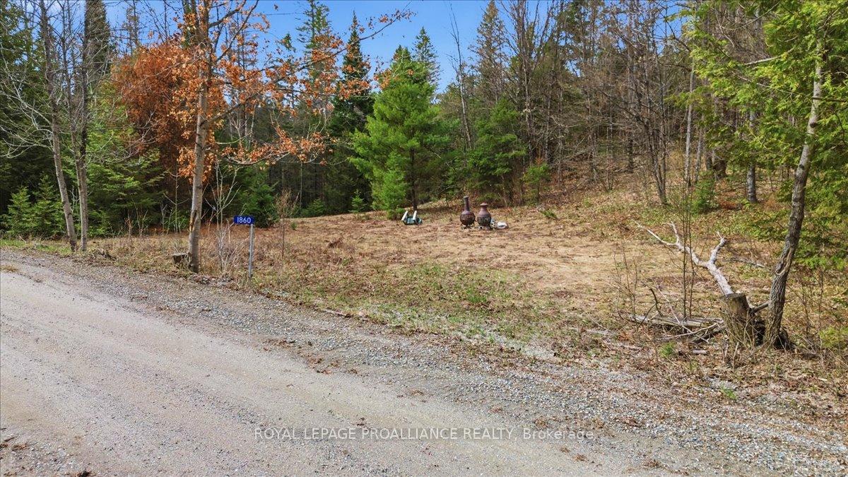 Photo of 1860 North Road