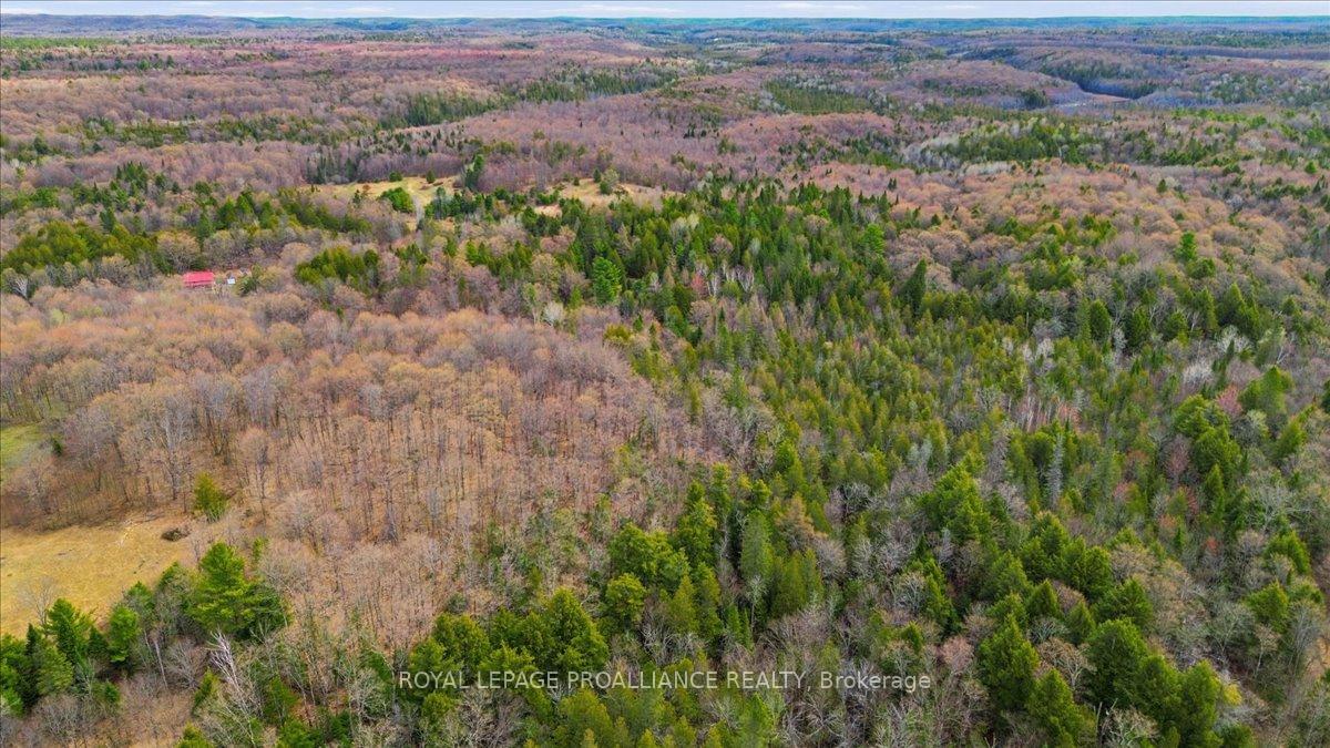 Photo 9 of 1860 North Road, Frontenac, Frontenac North — HOMEH