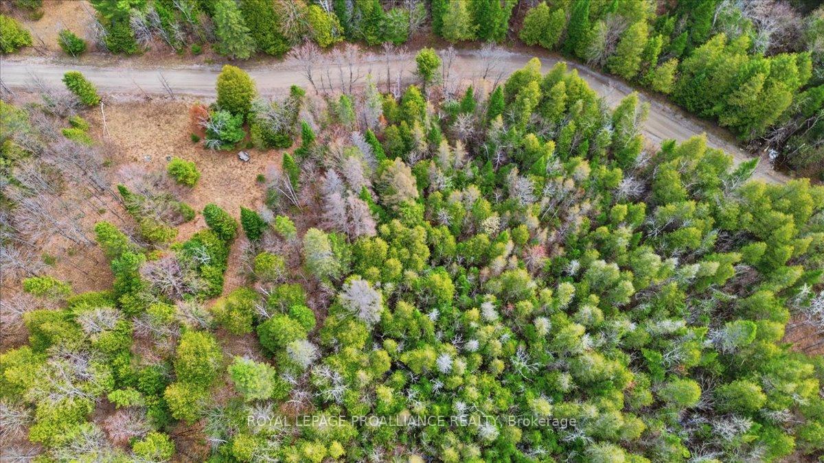 Photo 10 of 1860 North Road, Frontenac, Frontenac North — HOMEH