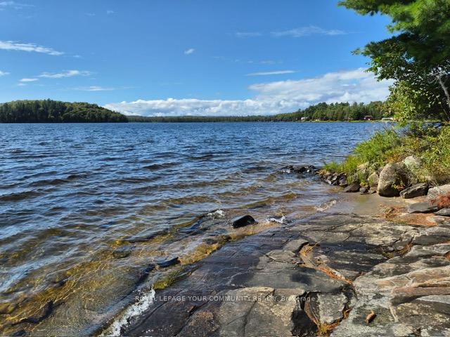 Photo of 2193 Fern Glen Road