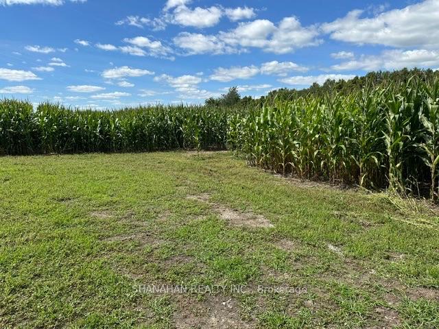 Photo 37 of 24834 Kent Bridge Route, Chatham-Kent, Dresden — HOMEH