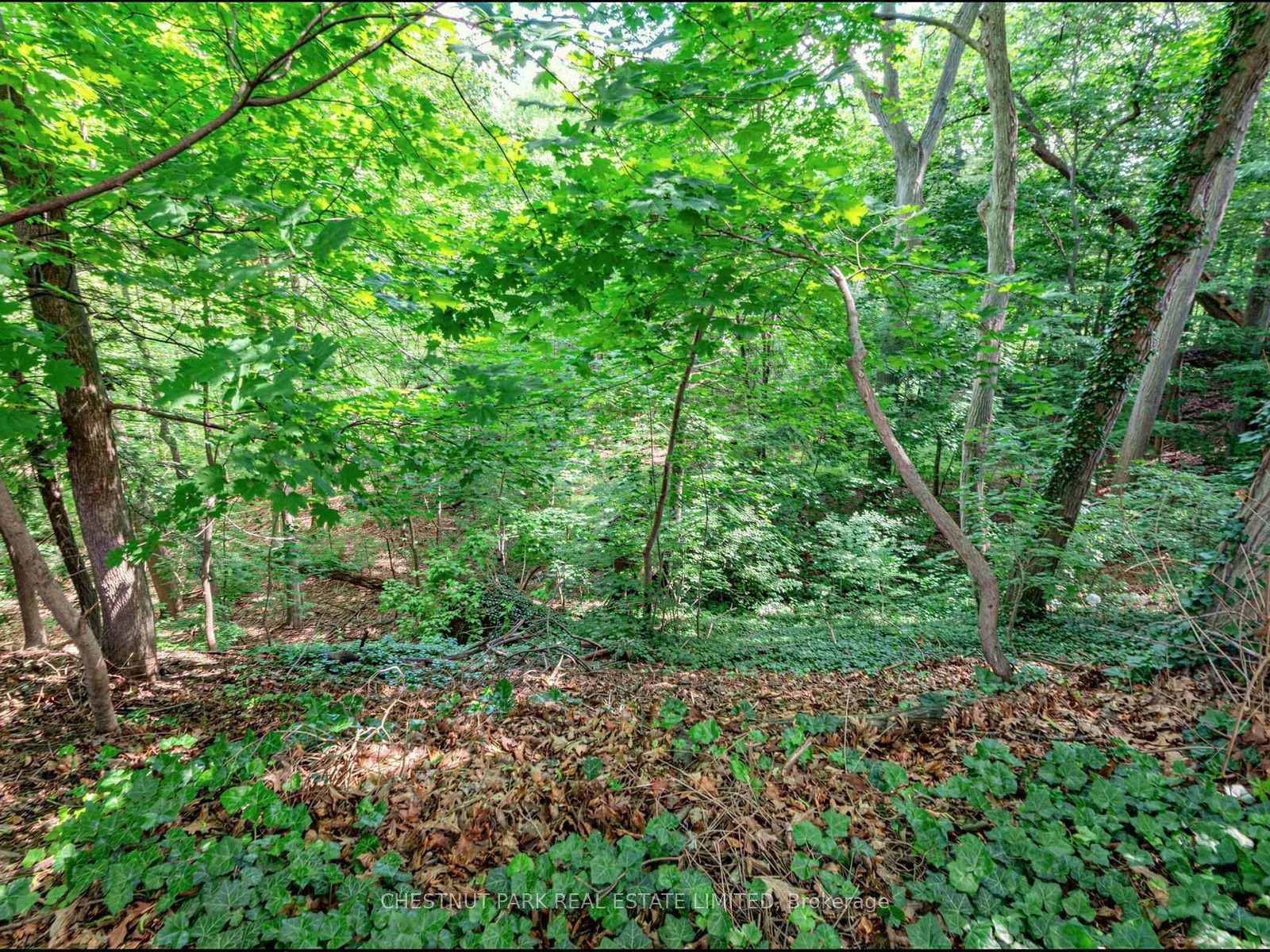 Photo 21 of 143 Mildenhall Road, North York, Bridle Path-Sunnybrook-York Mills — HOMEH