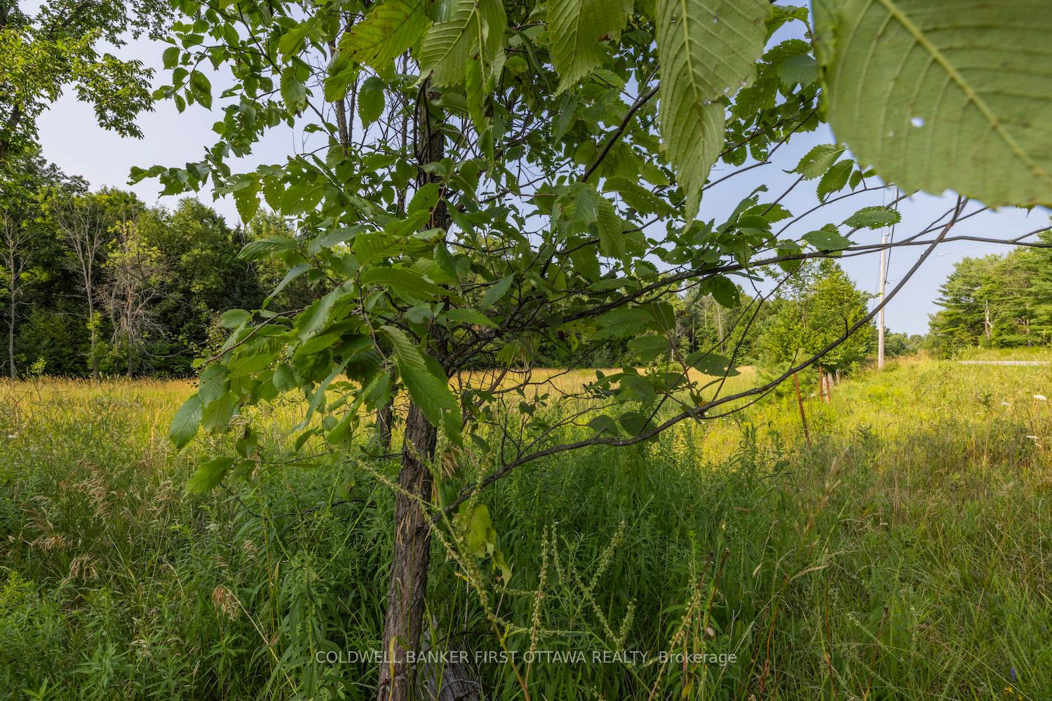 Photo 10 of 752 Bennett Lake Road, Tay Valley, Bathurst/Burgess & Sherbrooke (Bathurst) Twp — HOMEH