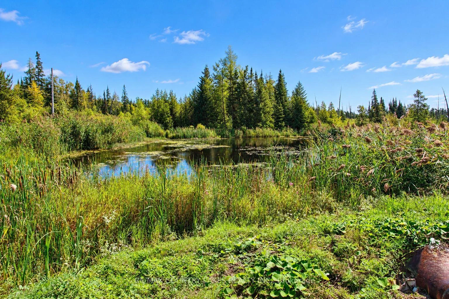 Photo 41 of 445 Martin's Road, Kawartha Lakes, Verulam — HOMEH