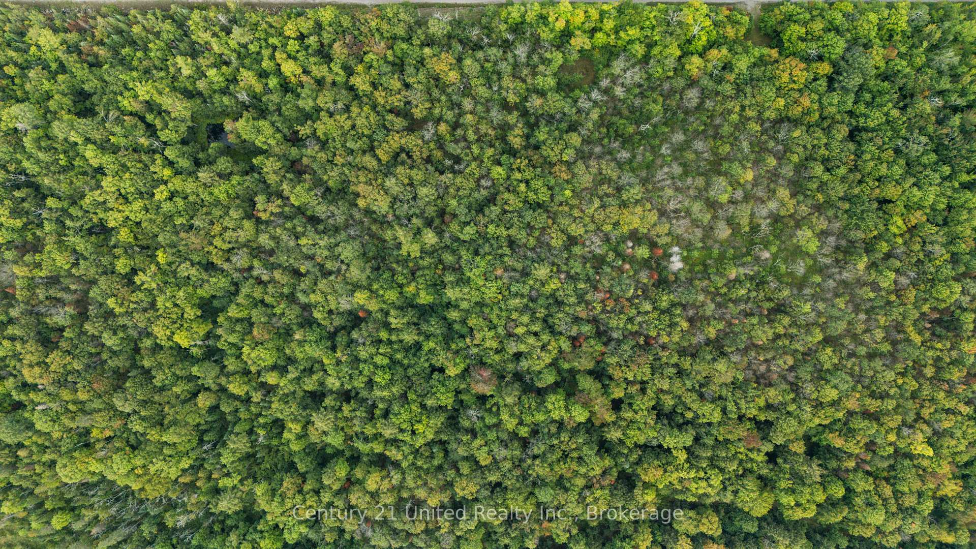 Photo 3 of 456 County Road 620, North Kawartha — HOMEH