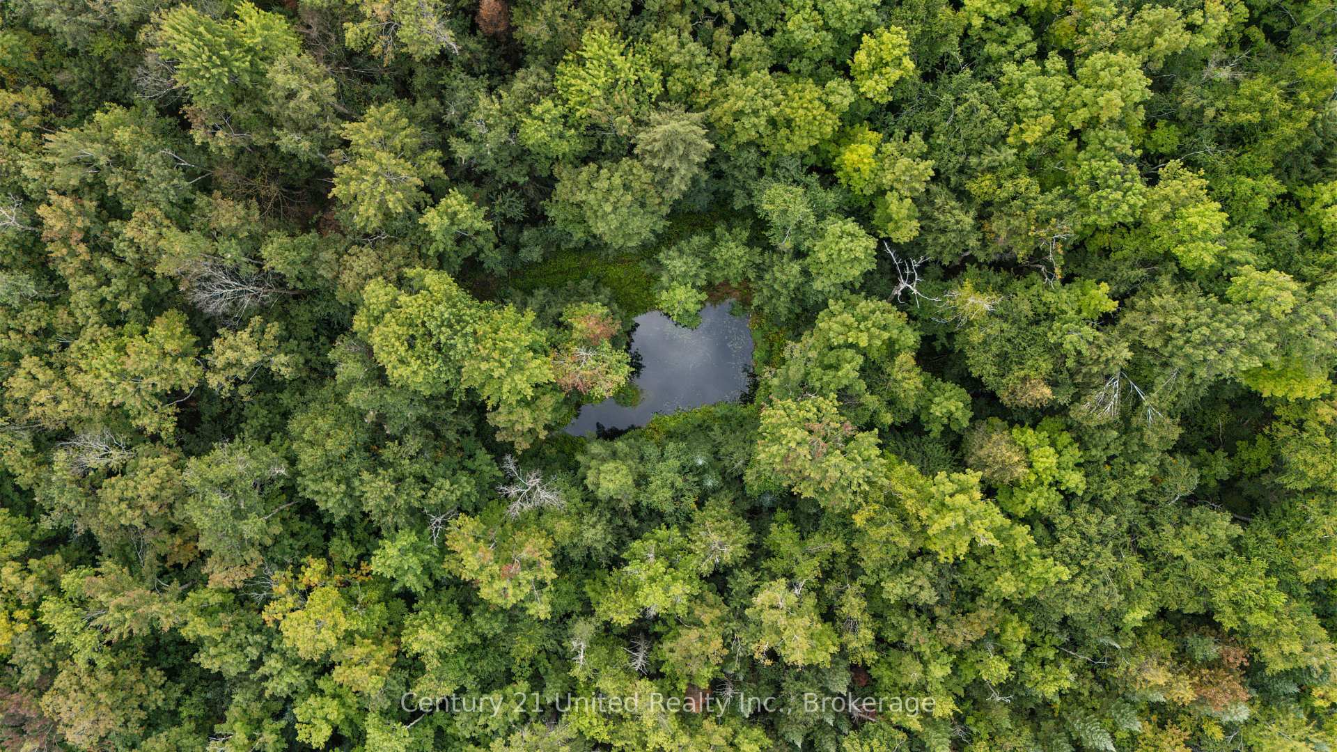 Photo 4 of 456 County Road 620, North Kawartha — HOMEH