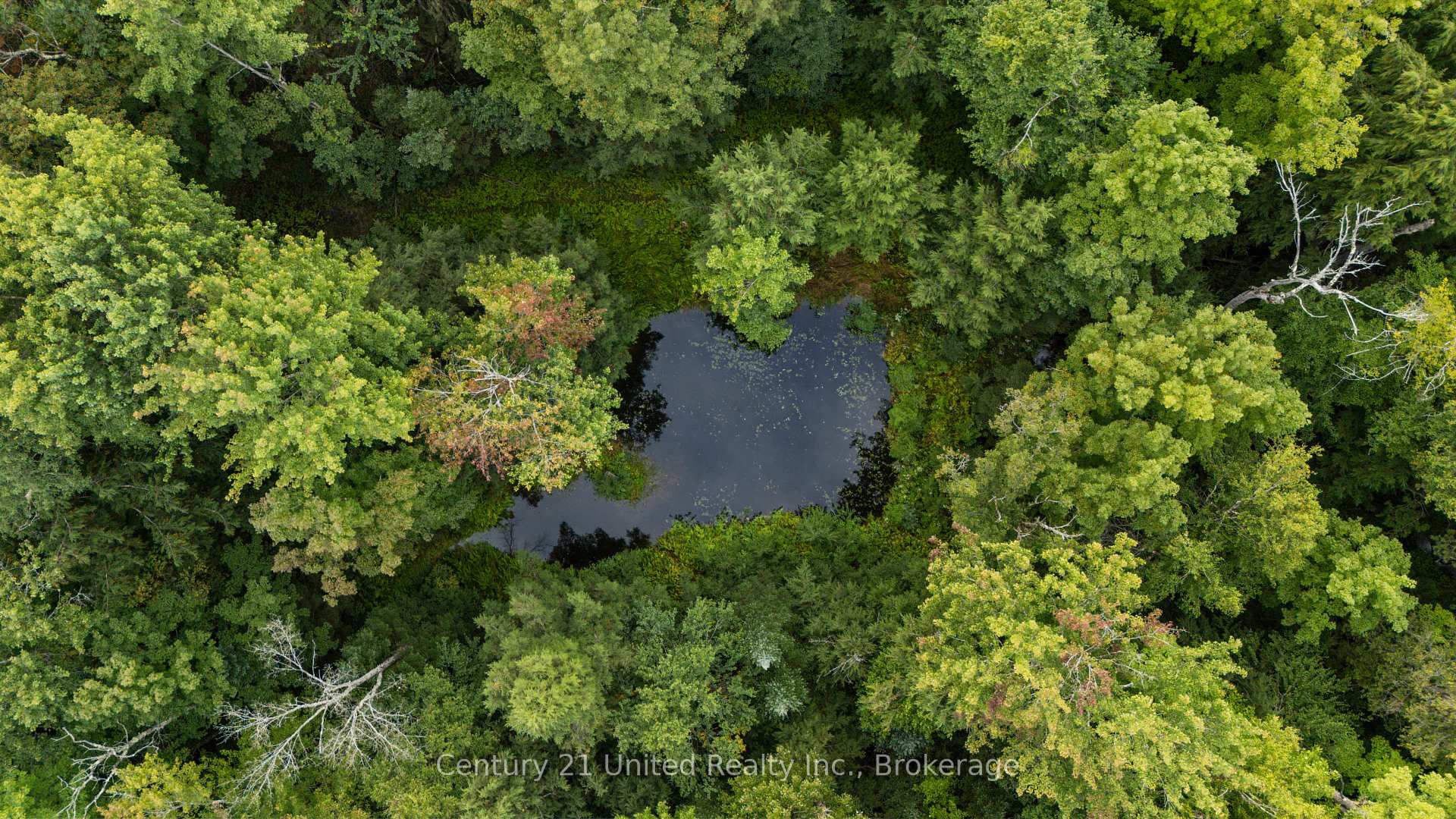 Photo 5 of 456 County Road 620, North Kawartha — HOMEH