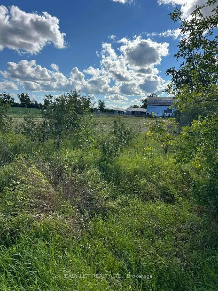 Photo 37 of 624 Hillhead Road, Kawartha Lakes, Ops — HOMEH